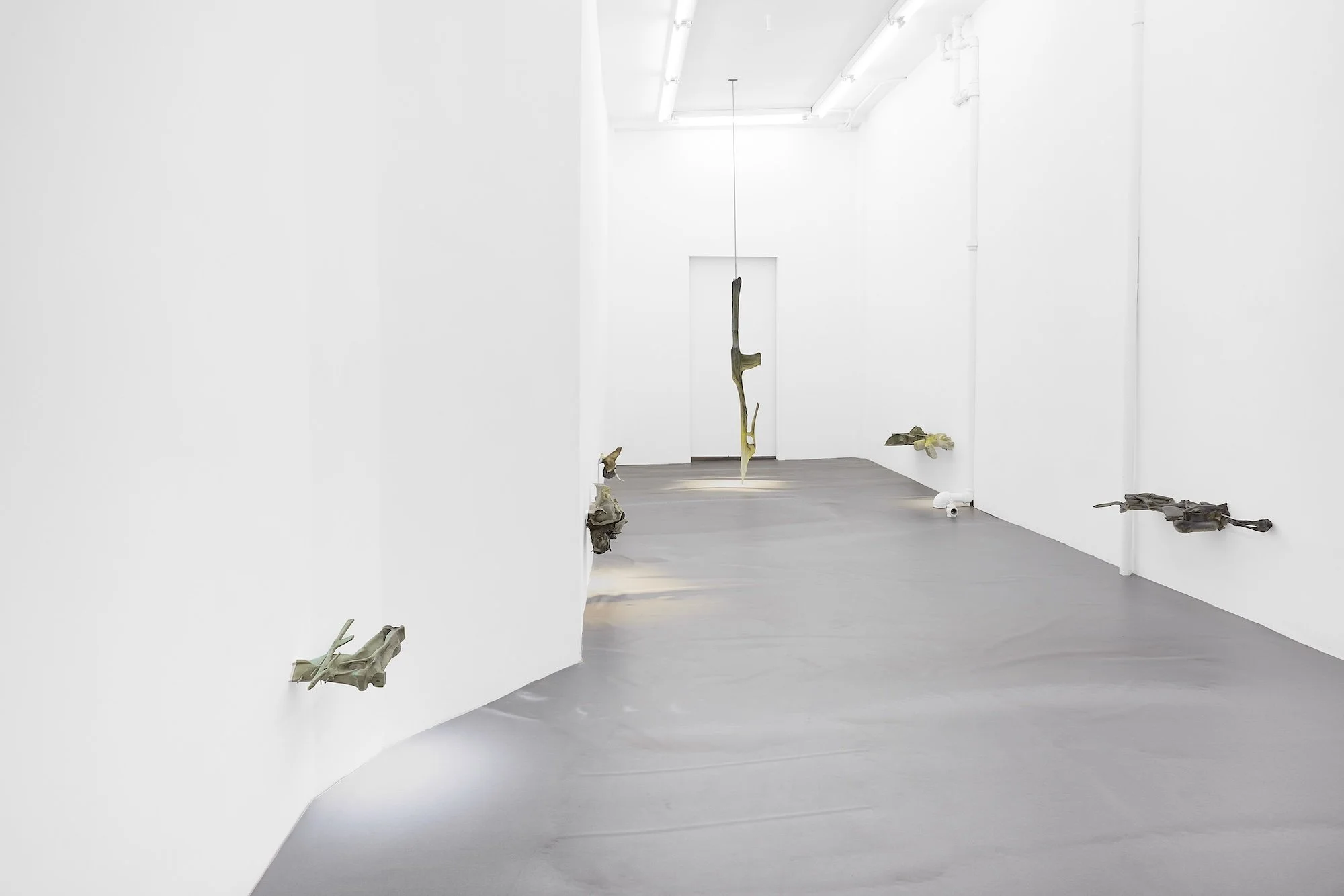 Gallery installation view with organic, abstract sculptures protruding from white walls and one vertical form suspended from the ceiling above a gray floor.
