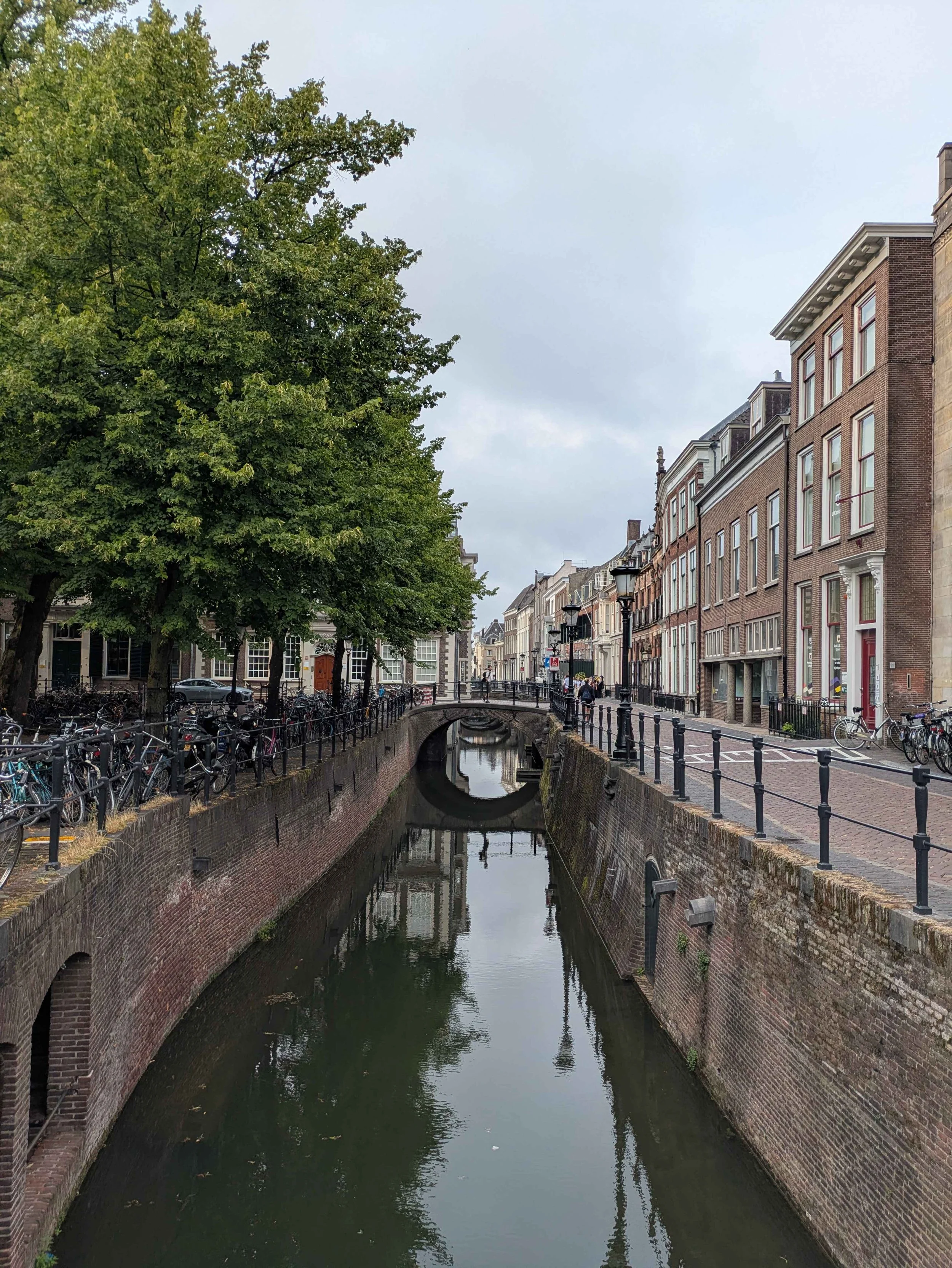 Canal surrounded by row houses, trees, and hundreds of parked bicycles.