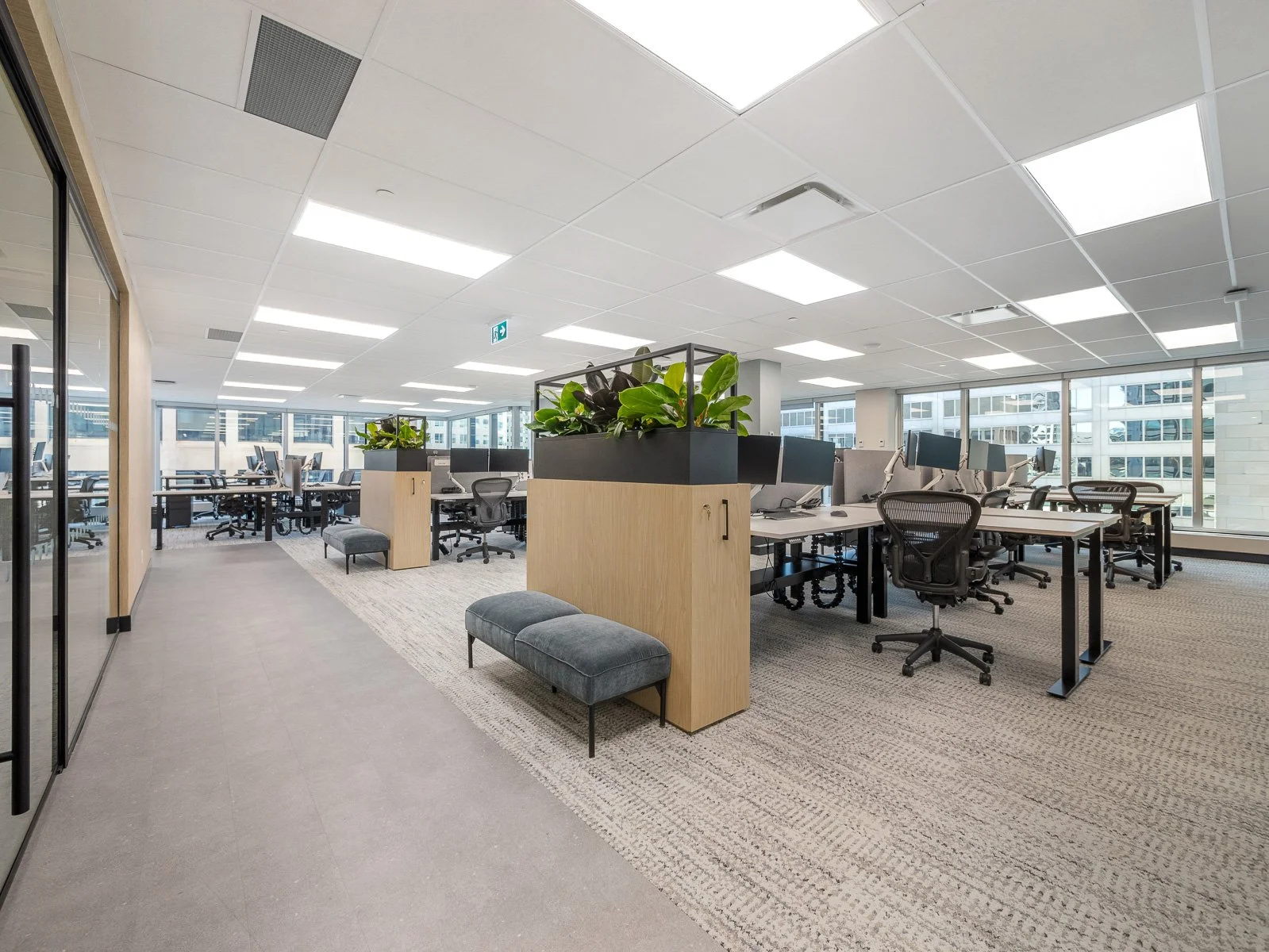 ISN Office Design-Build | Brand-Forward Workspace — Clearspace