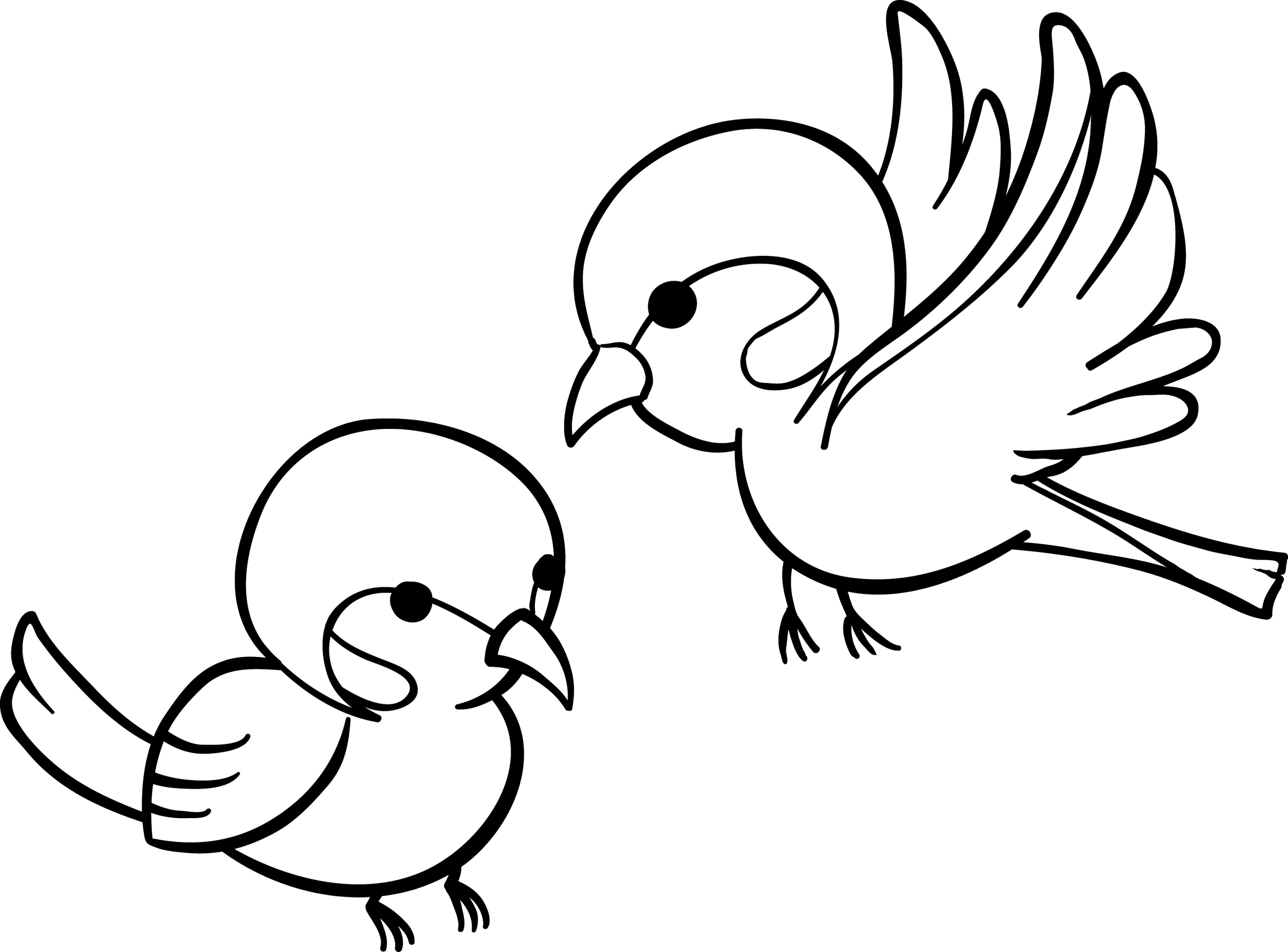 Stylised line drawing of two bird character concepts for visual storytelling.