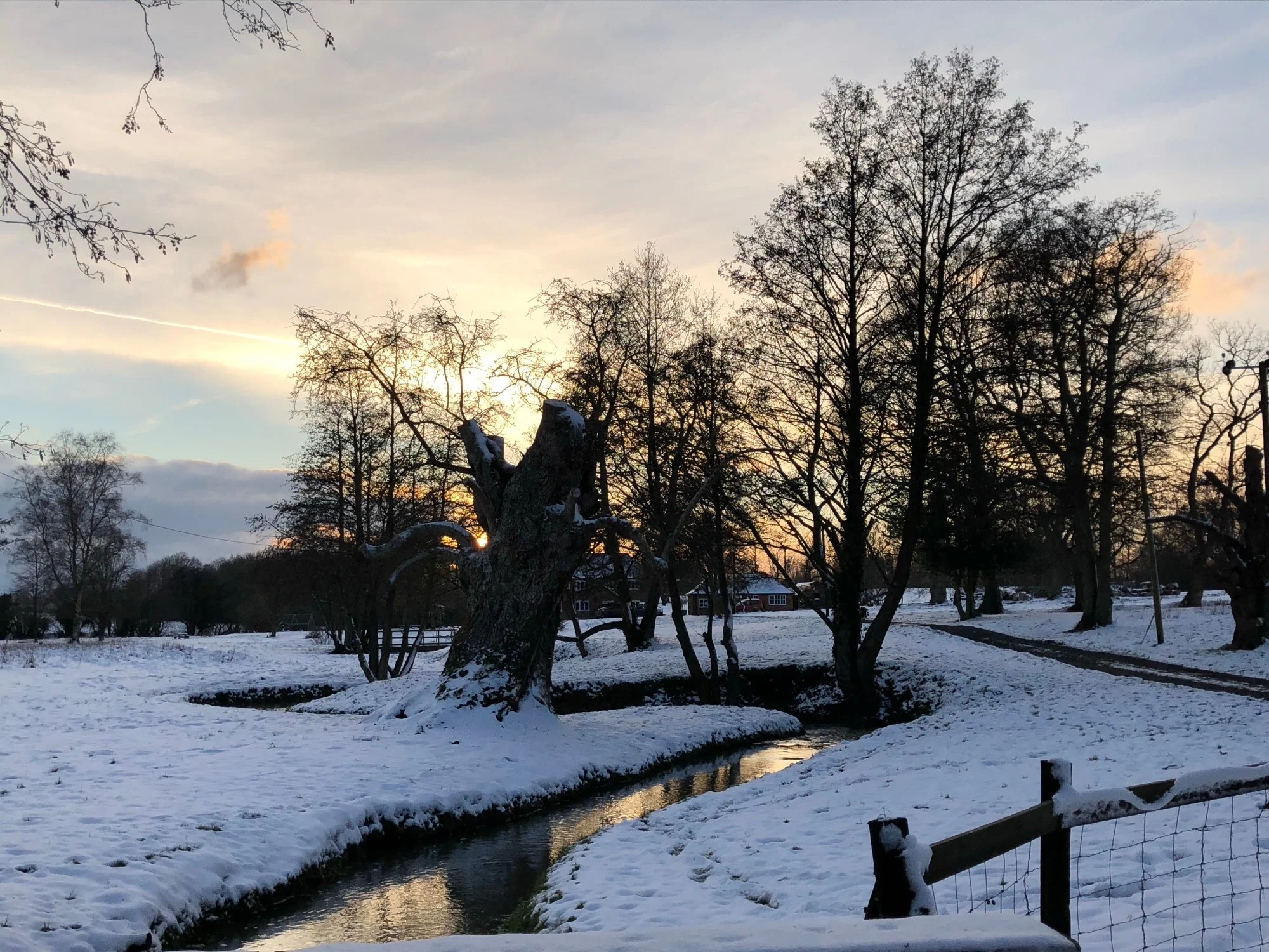 International Nurses  Winter Support