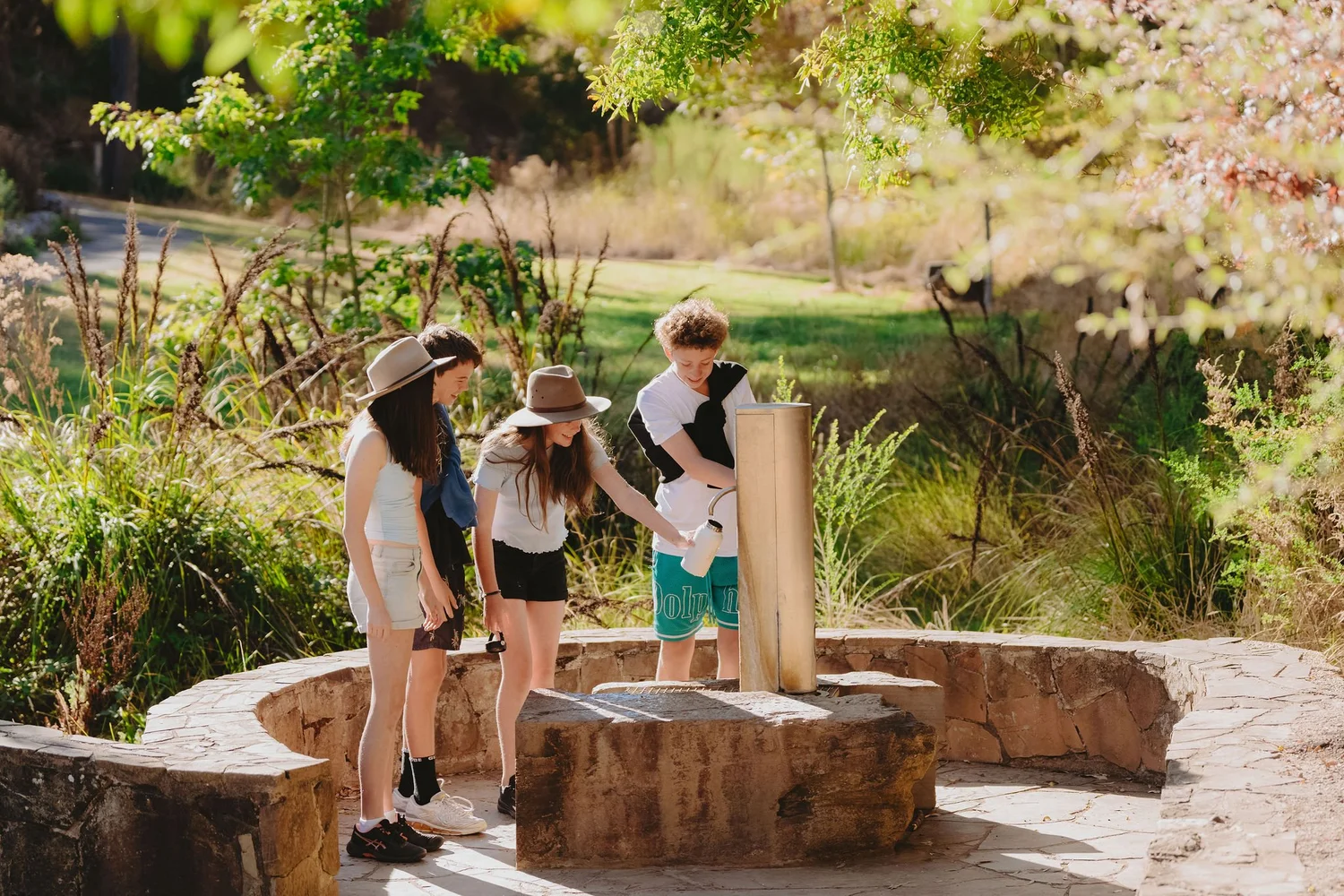 Spring Geelong Sulphur Spring — Mineral Springs of Victoria