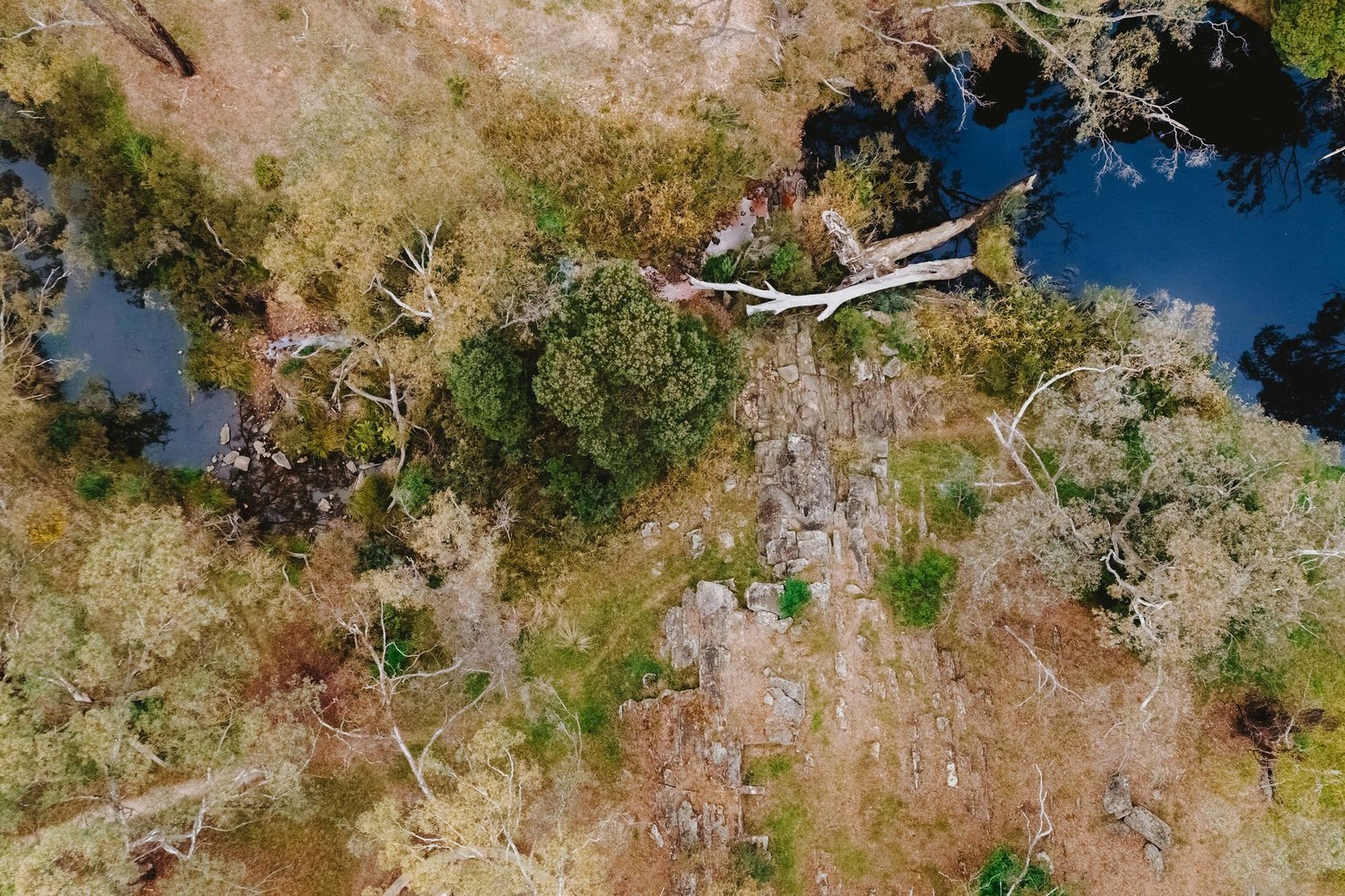 Glenluce Spring — Mineral Springs of Victoria