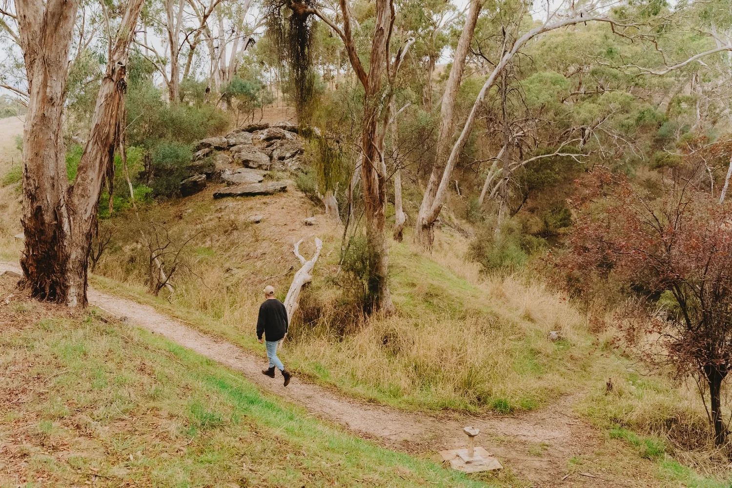 Glenluce Spring — Mineral Springs of Victoria