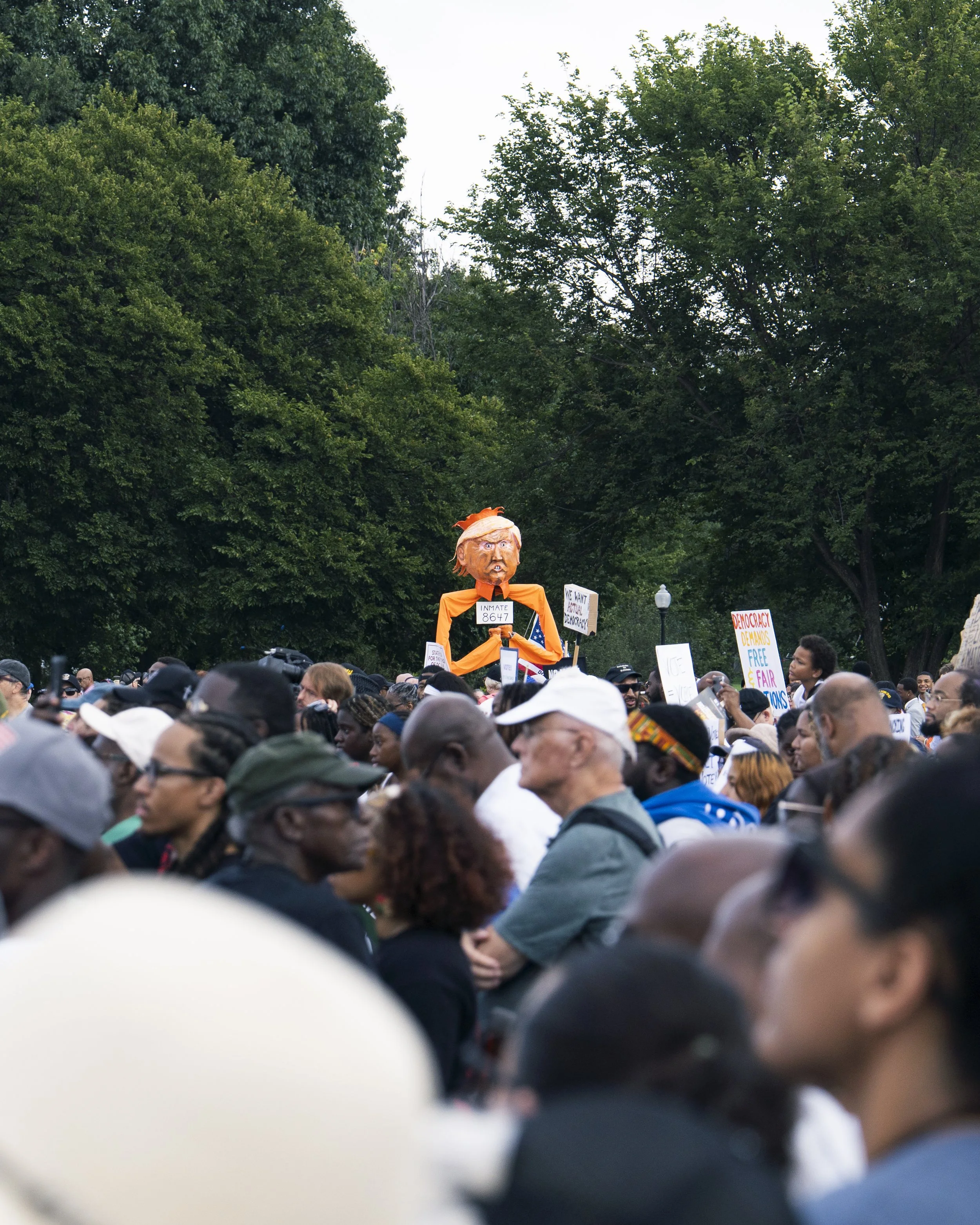 MarchOnWashingtonA8A28A26-3.jpg