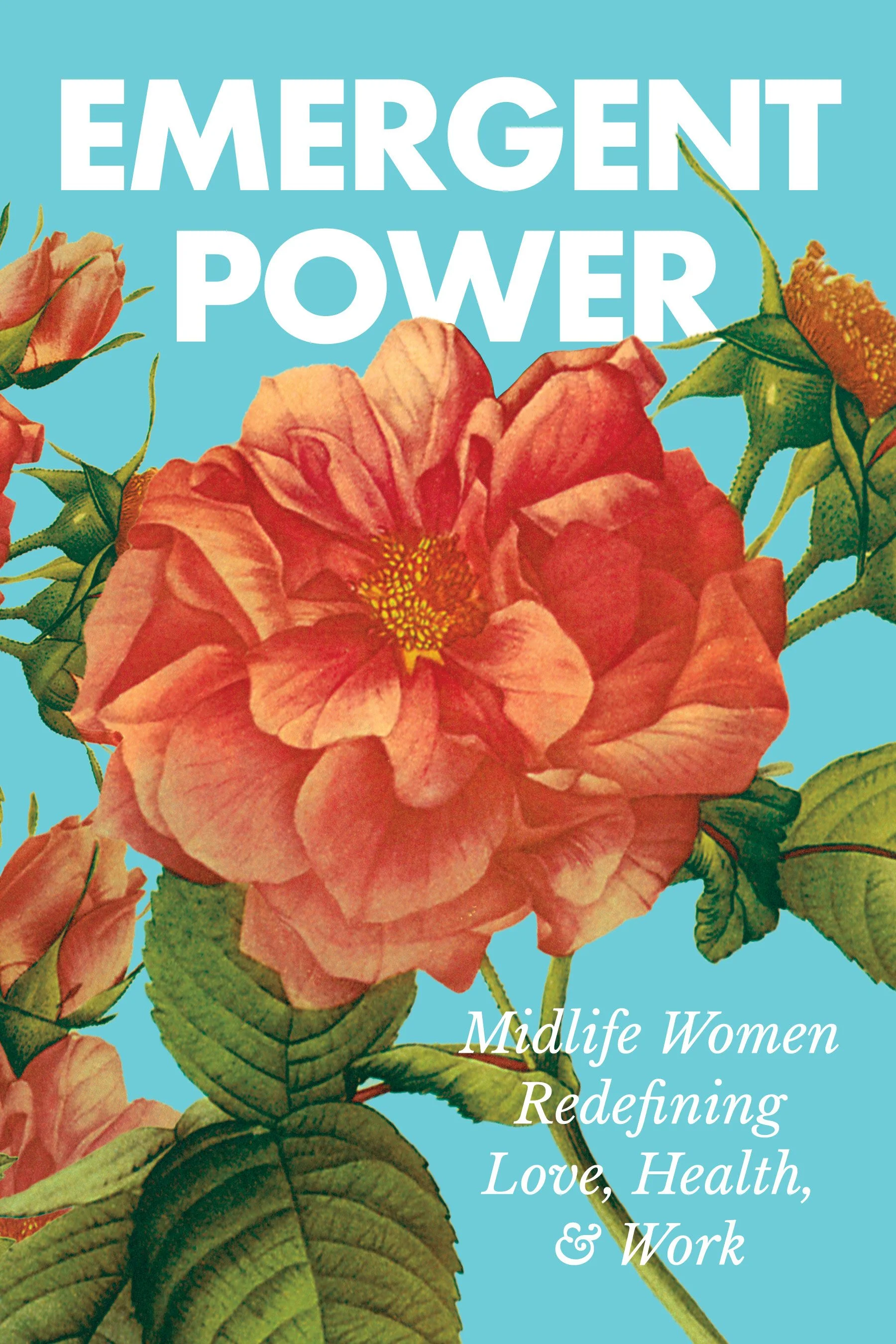 Emergent Power book