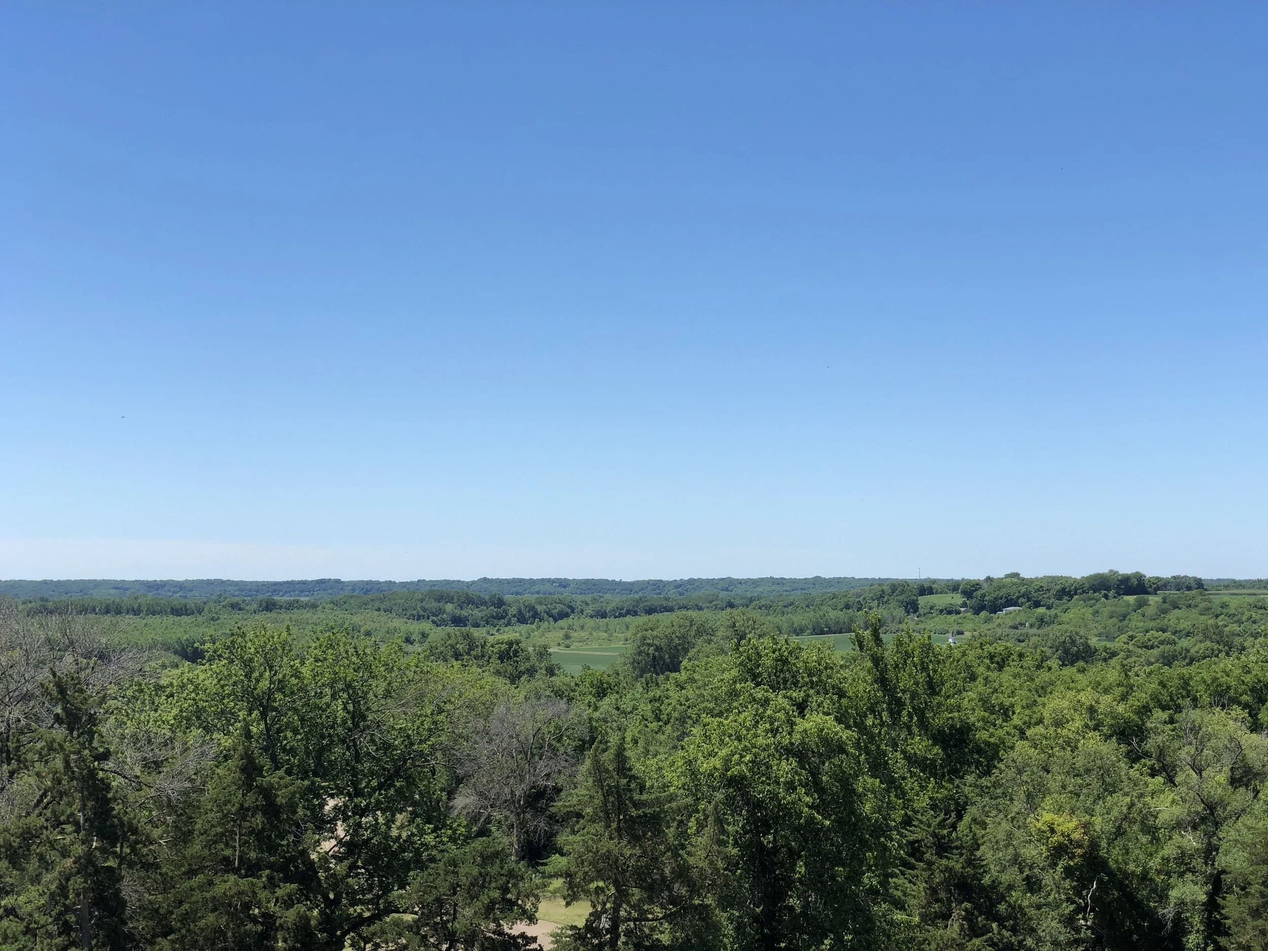 Twelve Thousand Years on the Spoon