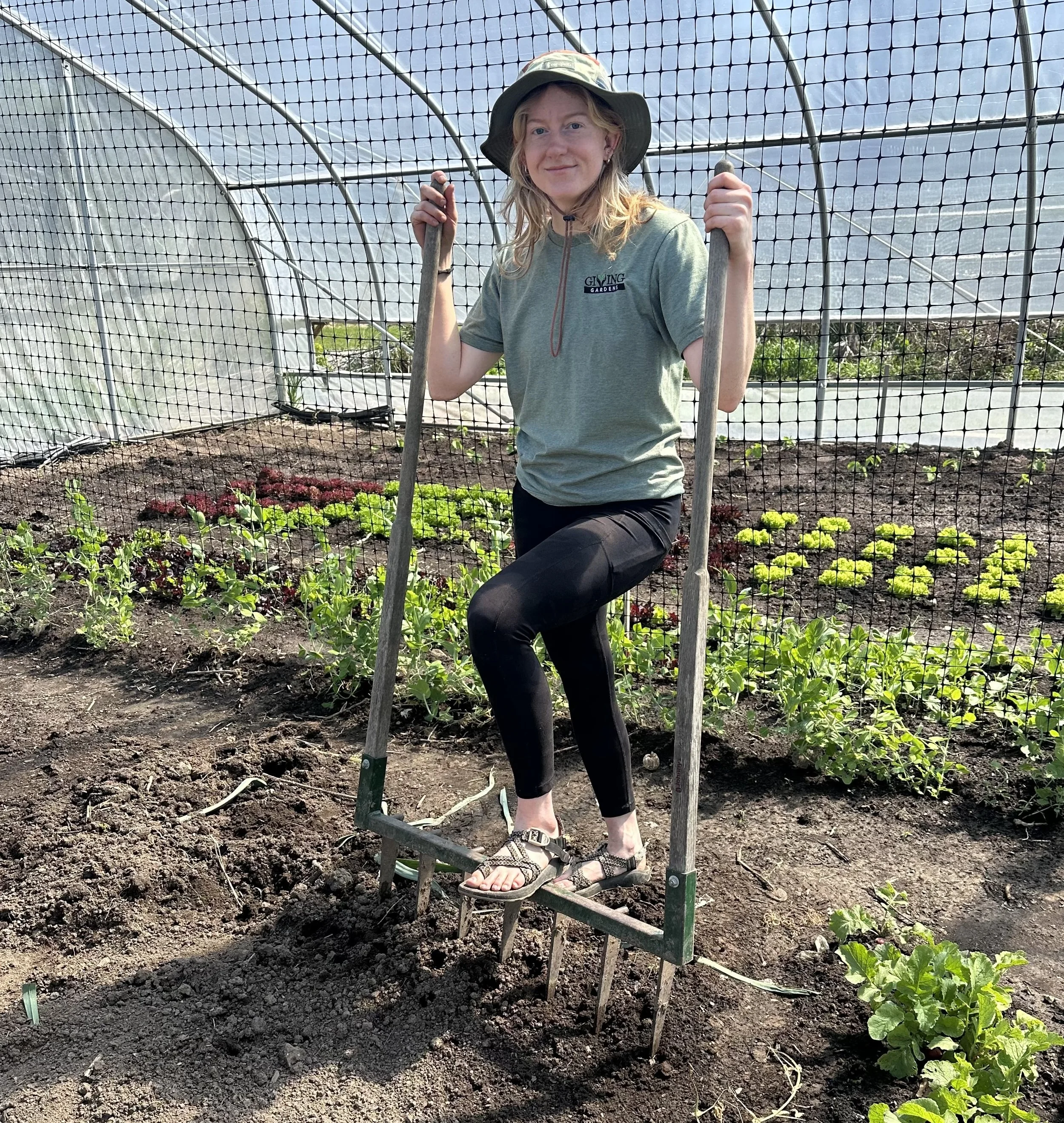 Soil: The Foundation of a Good Vegetable Garden