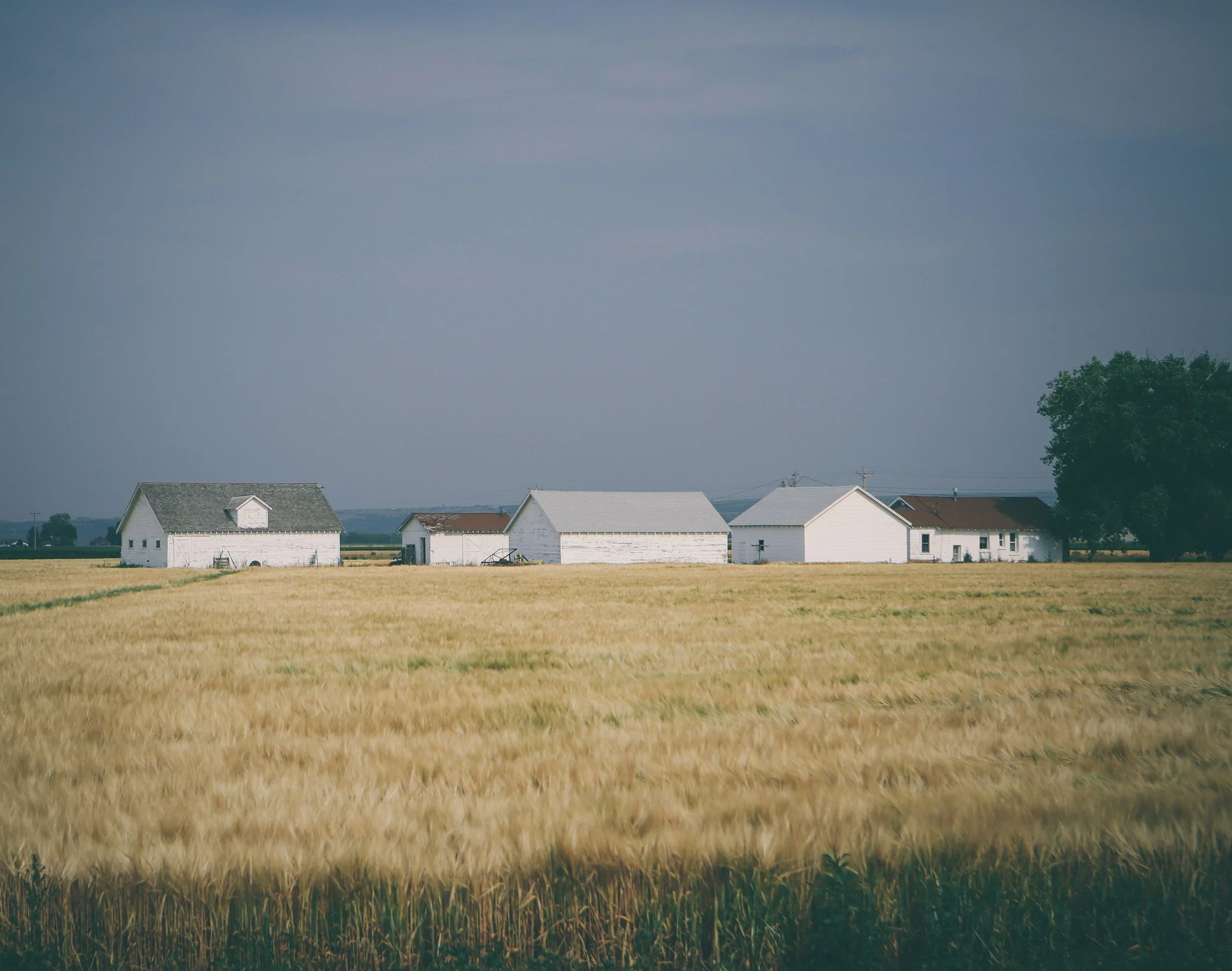 unsplash-image-HD59qn_9yA8.jpg