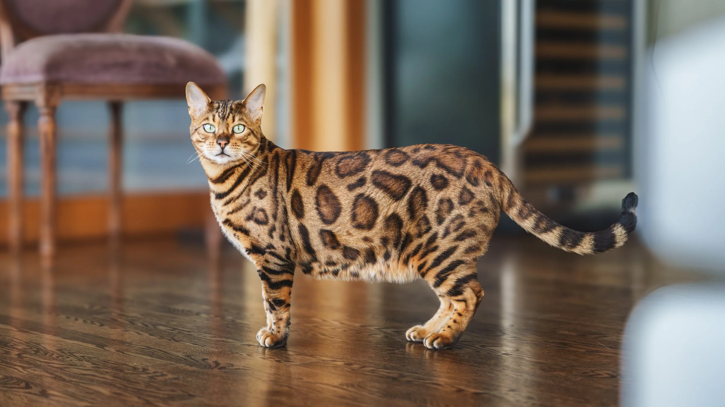 HFP - Slivka Holidays-01.jpg