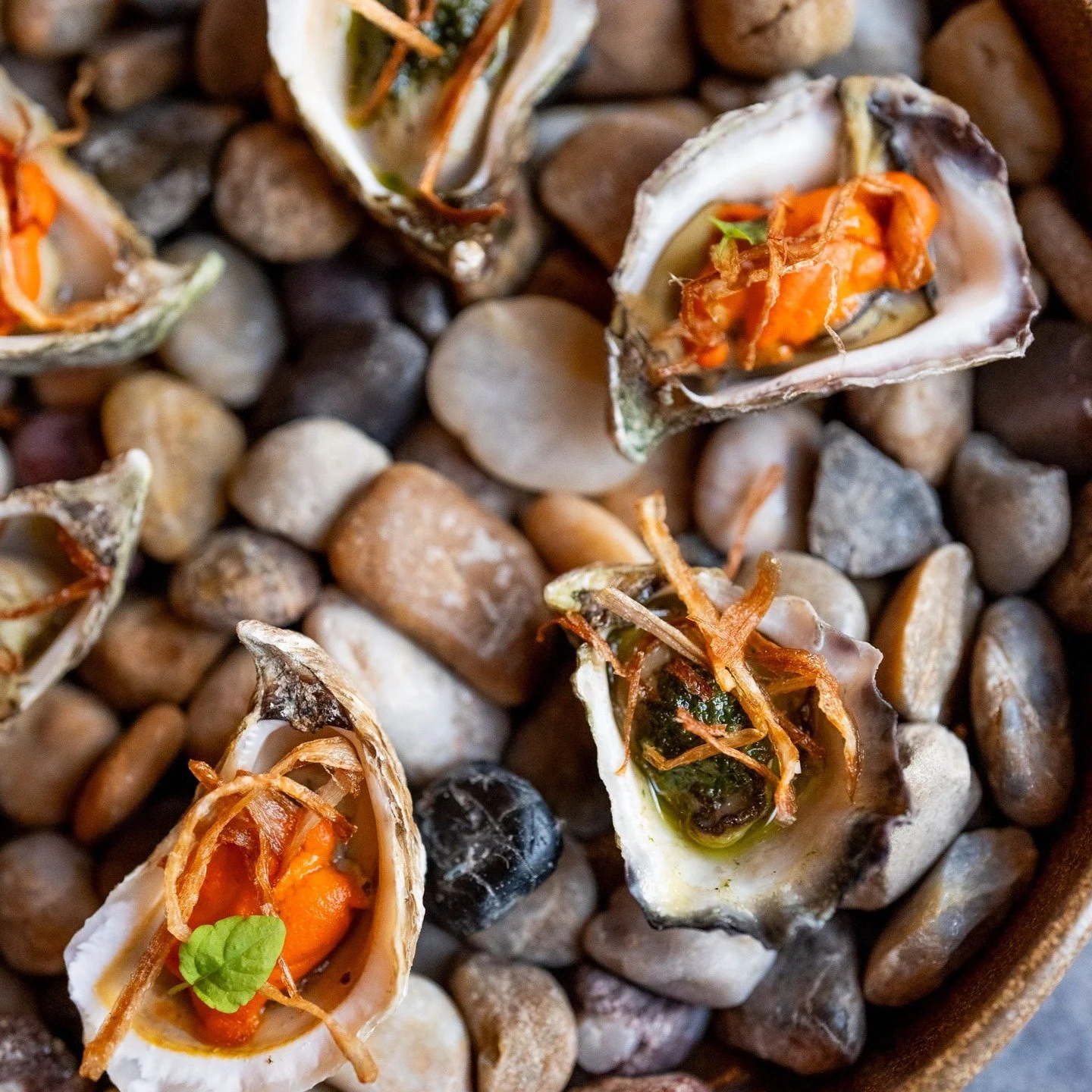 ✨ Fresh Arrival &ndash; First Albany Rock Oysters of the Season ✨
They&rsquo;re here! The very first Albany Rock Oysters (Plate 73mm+) of the season 🦪

To celebrate, we&rsquo;re offering a special: 12 oysters for $65 &mdash; but be quick, we only ha