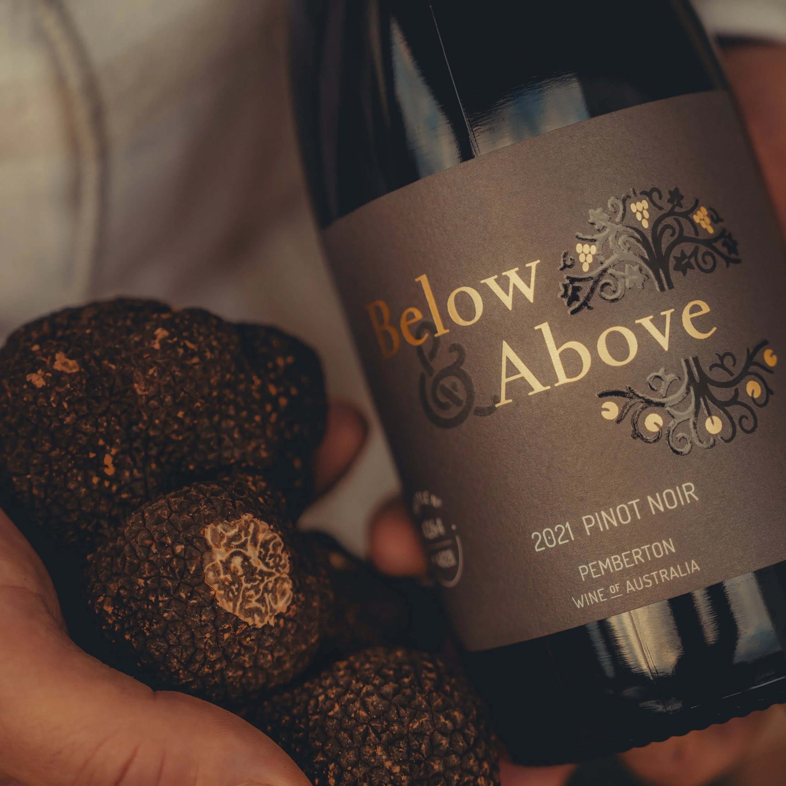 Introducing our new Truffle Tasting Menu 🍽️

We're proud to be partnering with Below &amp; Above to showcase exceptional local truffles at their seasonal peak. A celebration of quality, flavour, and the best of Western Australia.

Featuring:
✨ Panis