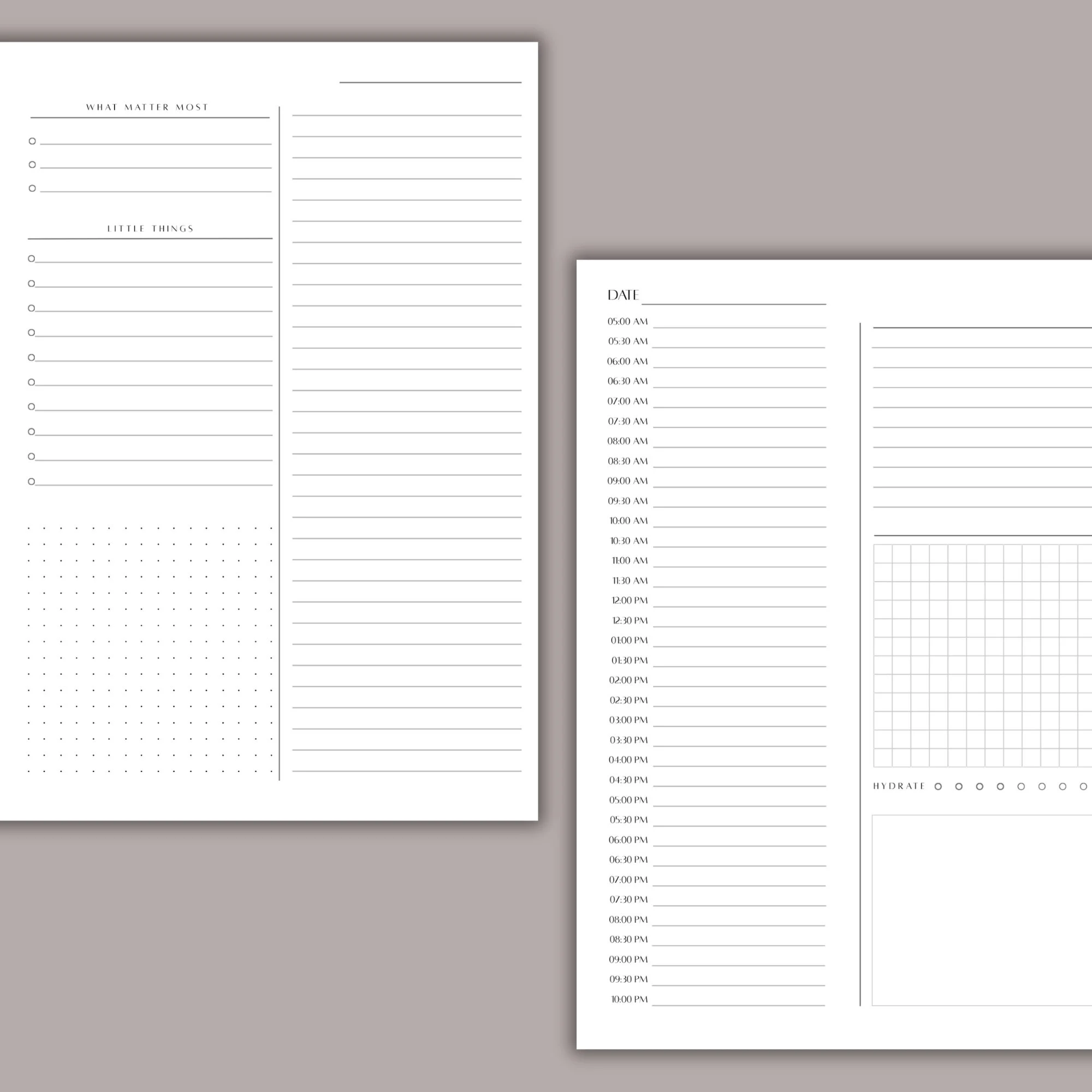 DAILY PAGES QUARTERLY.jpg