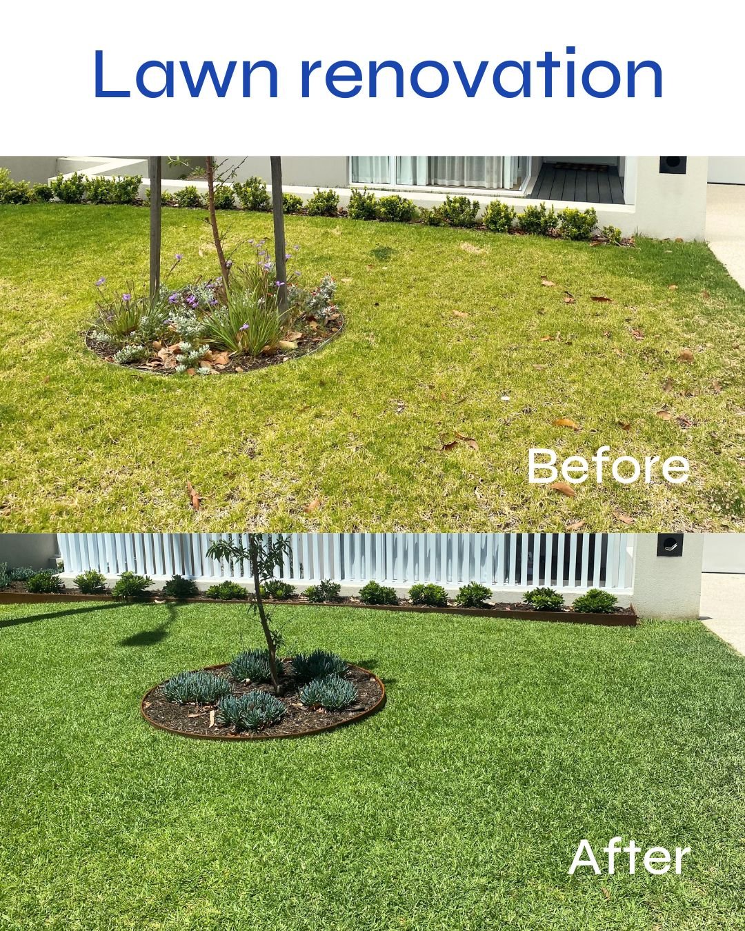 Before and after .jpg