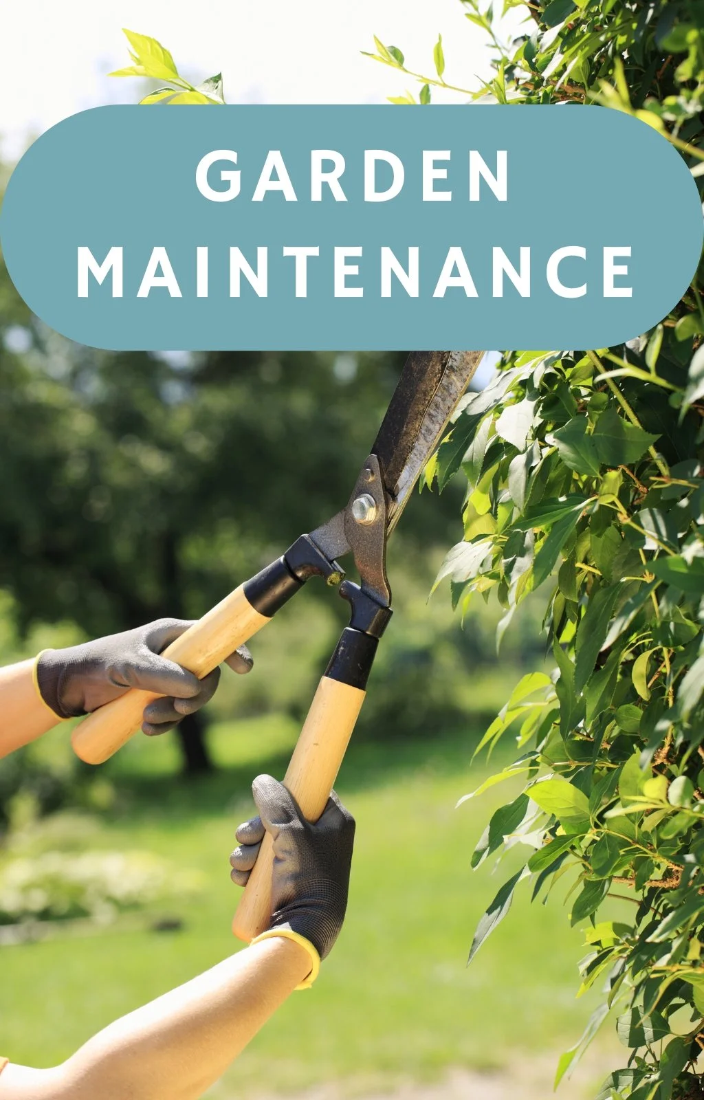 Maintenance