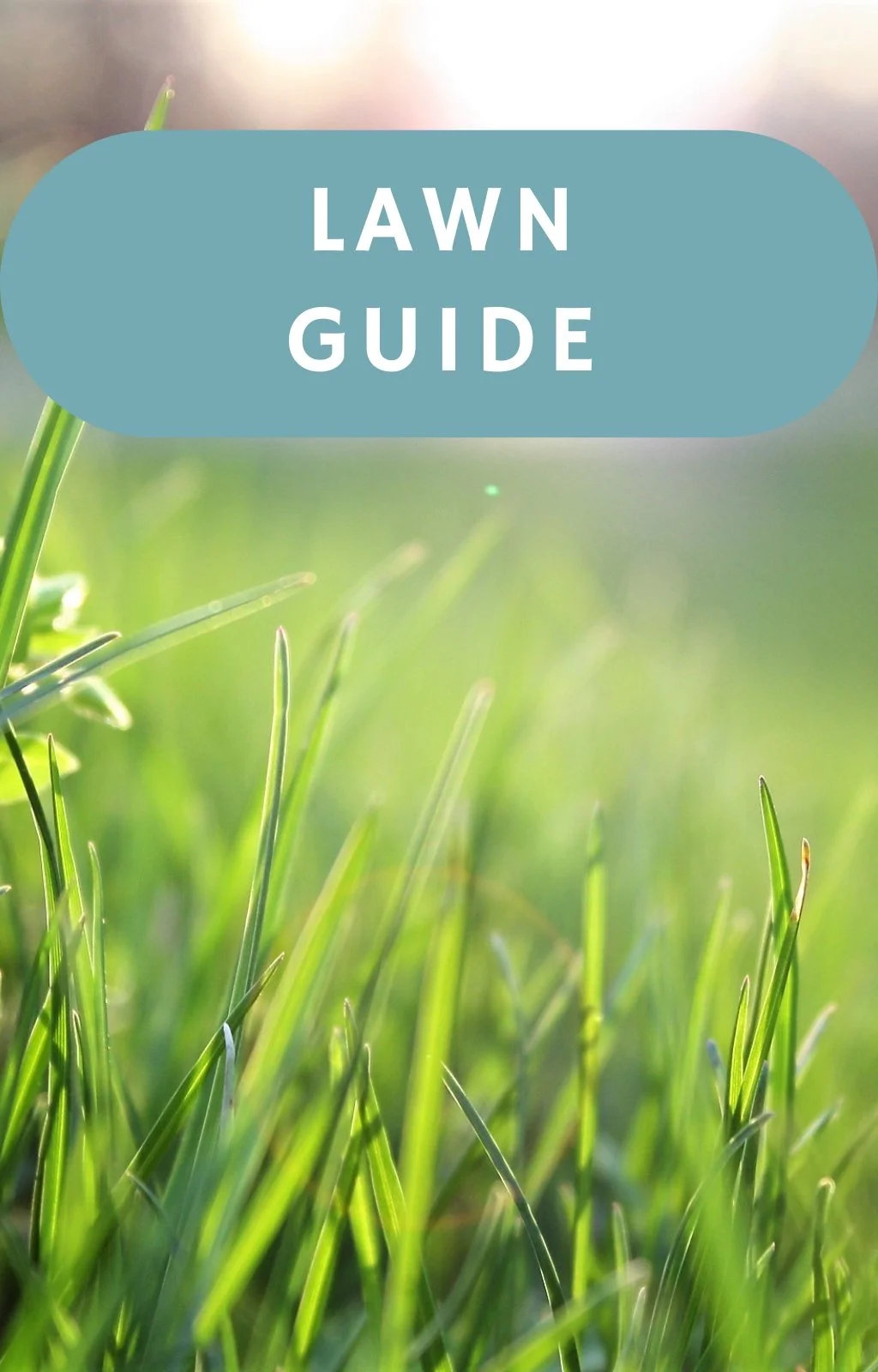 Lawn guide