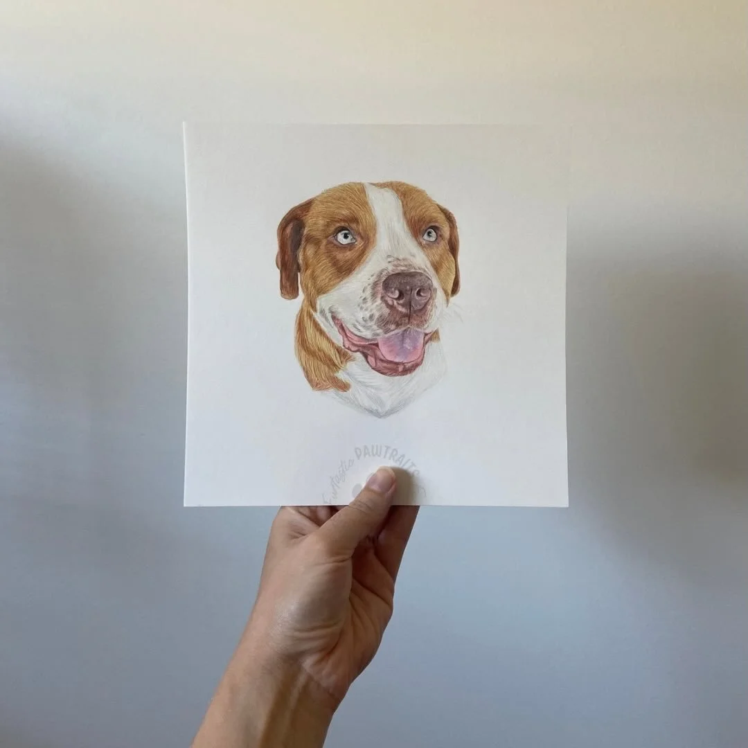 Meet Percy 🐾
Not just a dog, he was family. Sadly Percy had to cross over the rainbow bridge. What a beautiful way to remember him. 
🐾
🐾
🐾
#artist #pencil #petportraitartist #dogportrait #bestfriend