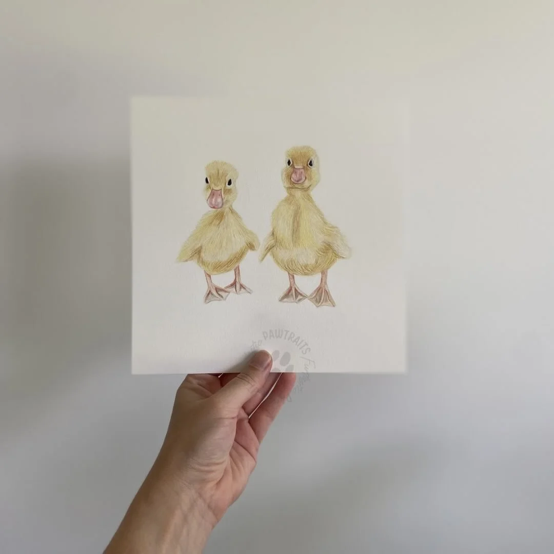 The cutest little pair. The perfect gift for a new Mum and her baby. 👶🏼🐤🌟💛🌼🐣
#artist #pencildrawing #ducklings #nursery #gift
