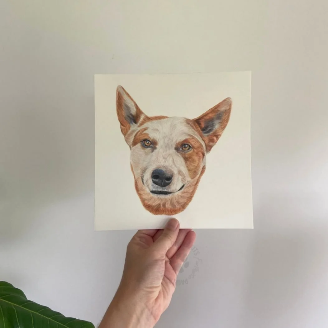 Meet Seth 🐾
His days consisted of running around on the farm, rolling in dirt, ute rides and following around Dad. Sadly Seth passed away last year. 
A beautiful gift that Milly organised for her Dad as a surprise. Now Seth will always be home. 
🐾
