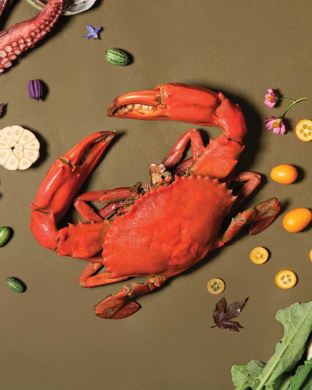 From the sea, through a new lens

Crab&mdash;a beloved staple in Southeast Asian cuisine, cherished and prepared in countless ways.

At Quenino, it&rsquo;s reimagined and retold with depth. A familiar favourite, layered with intention and crafted to 