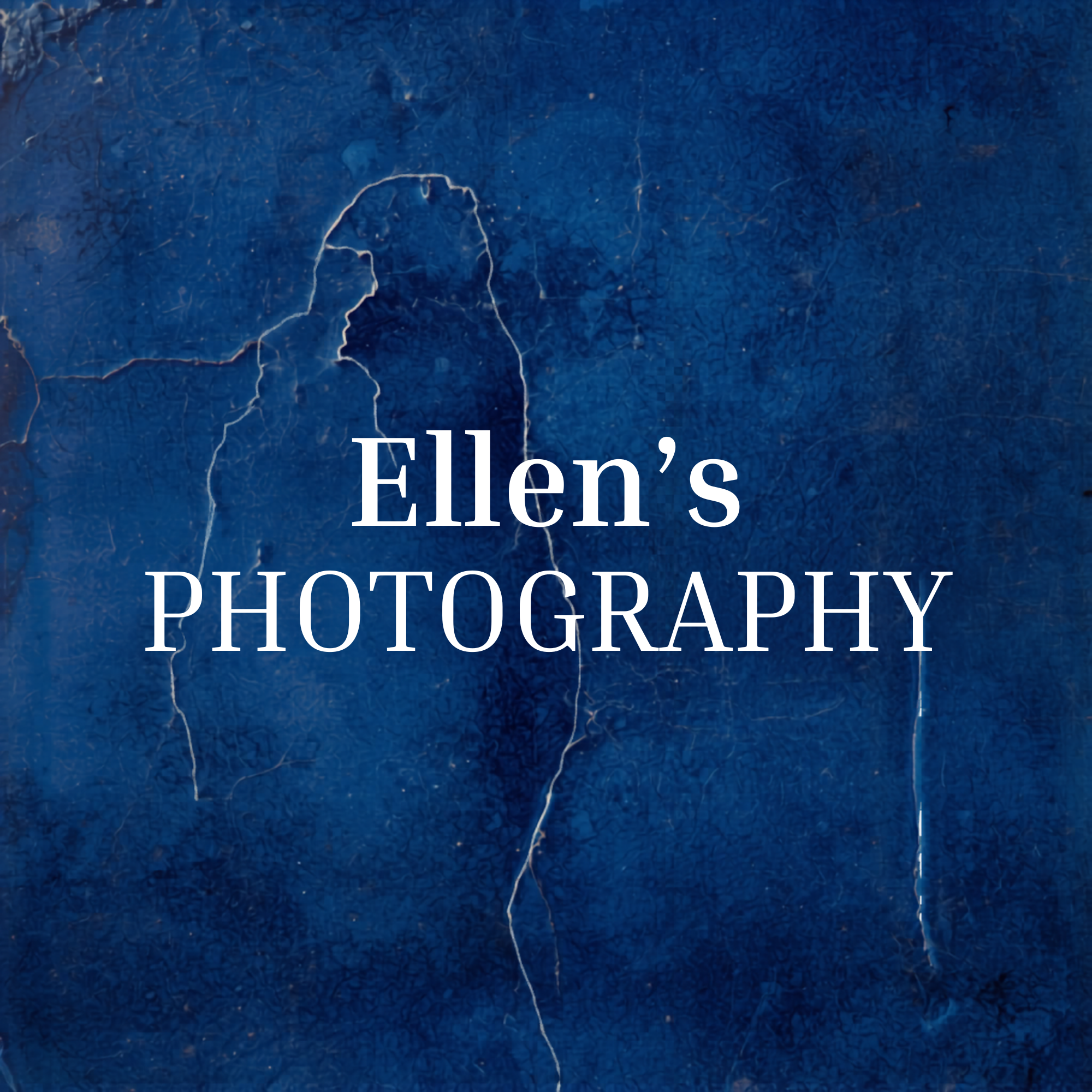 Photography and Videos
