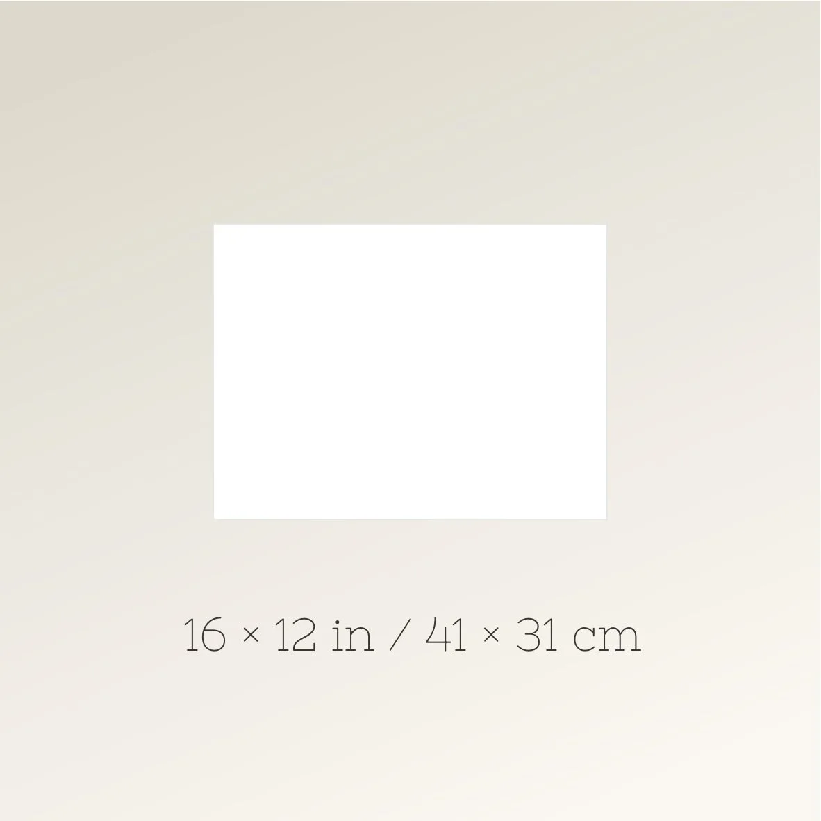 dimensions16*12.jpg