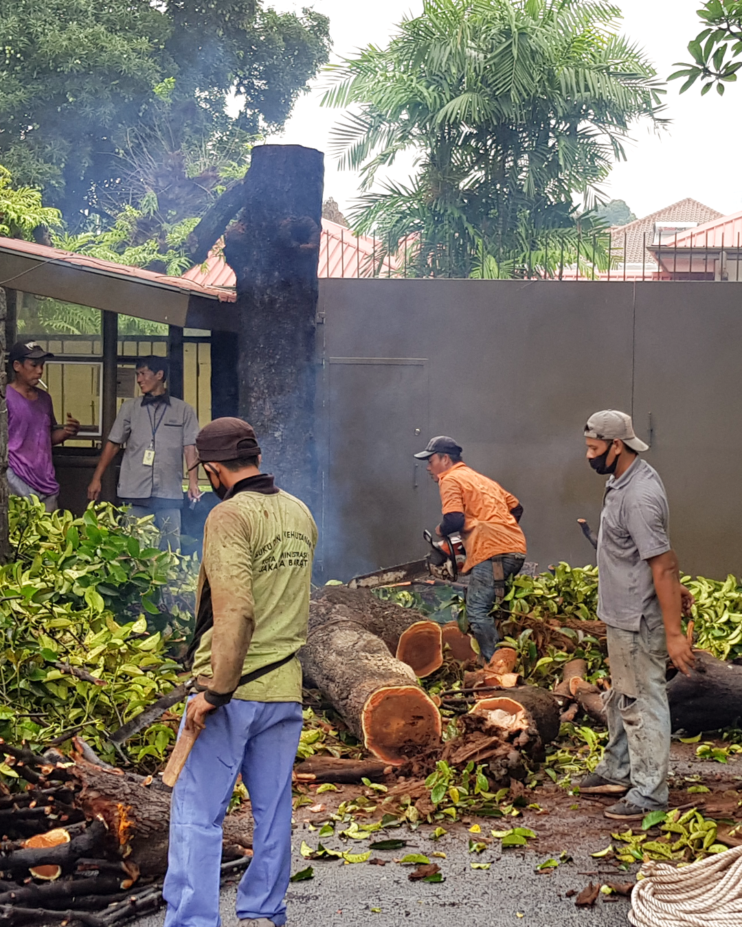 Artboard 1 copy 4.png