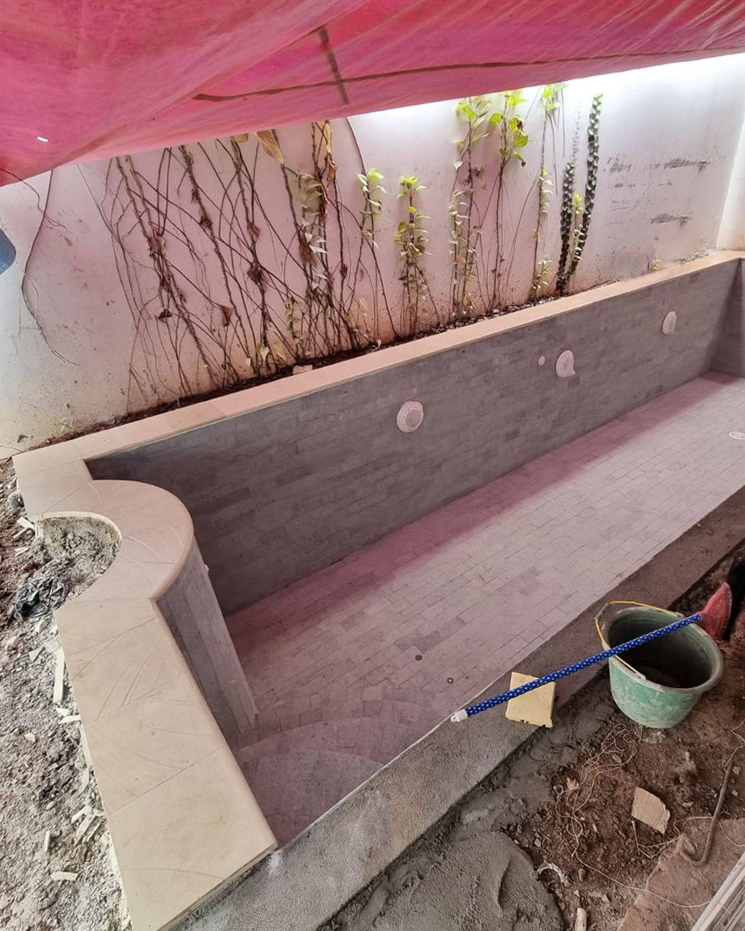 Artboard 1 copy 5.png