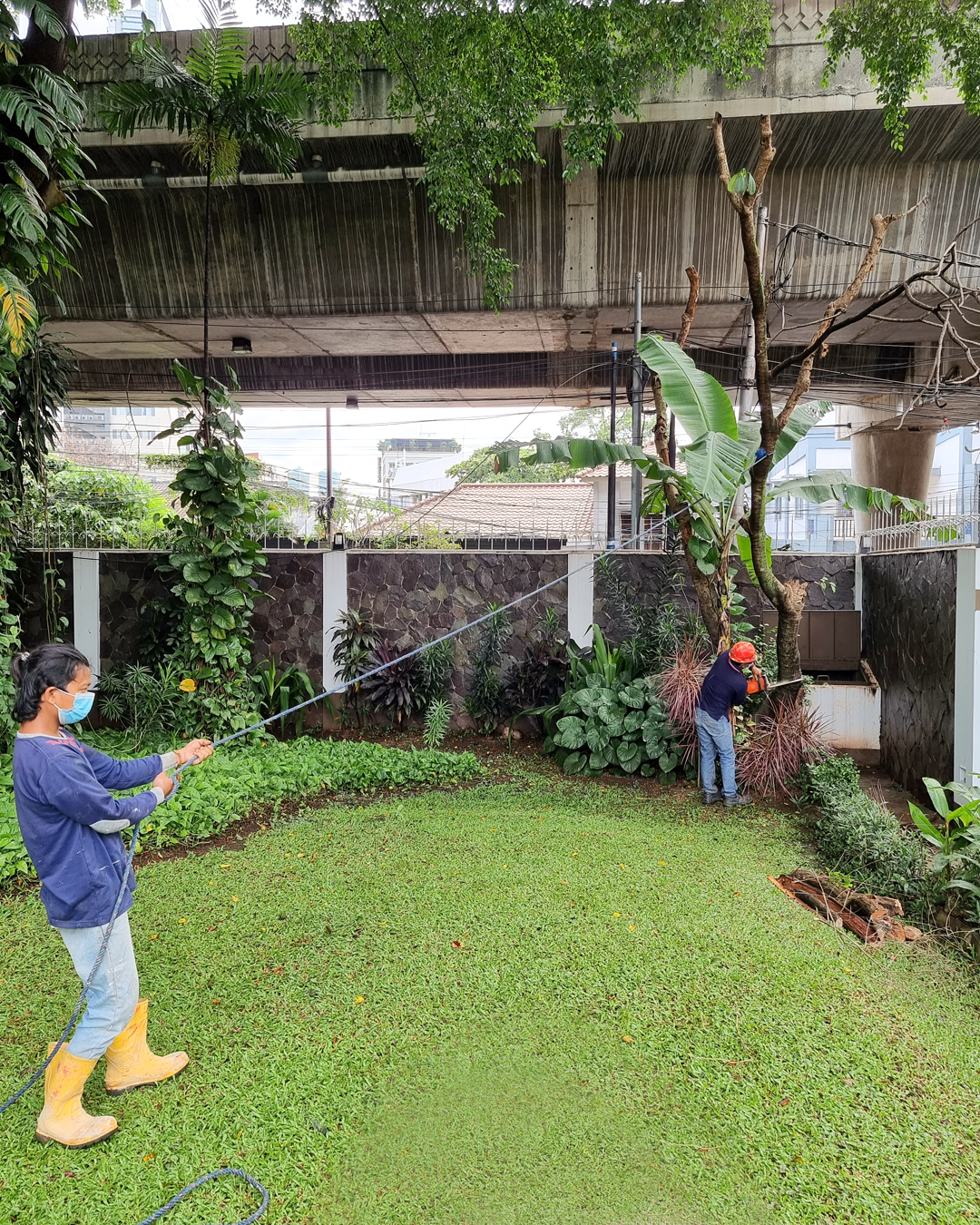 Artboard 1 copy 3.png