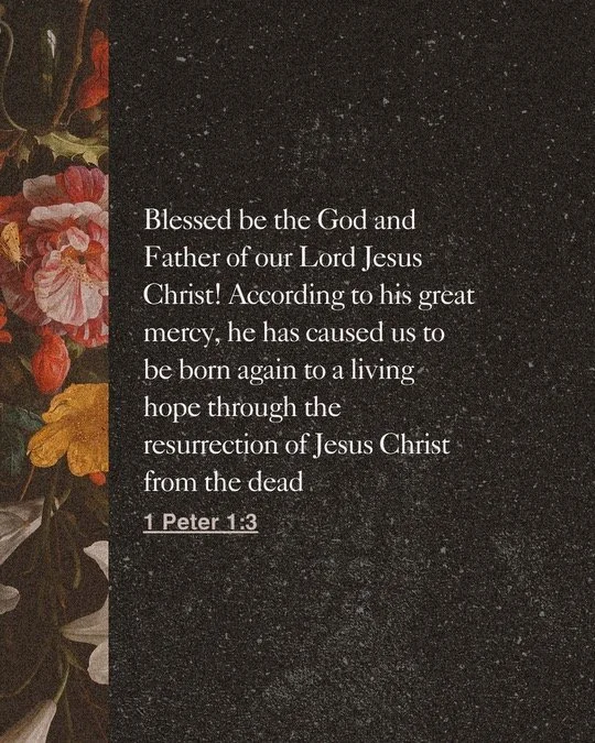 Copy of Speaker Quote (1).JPEG