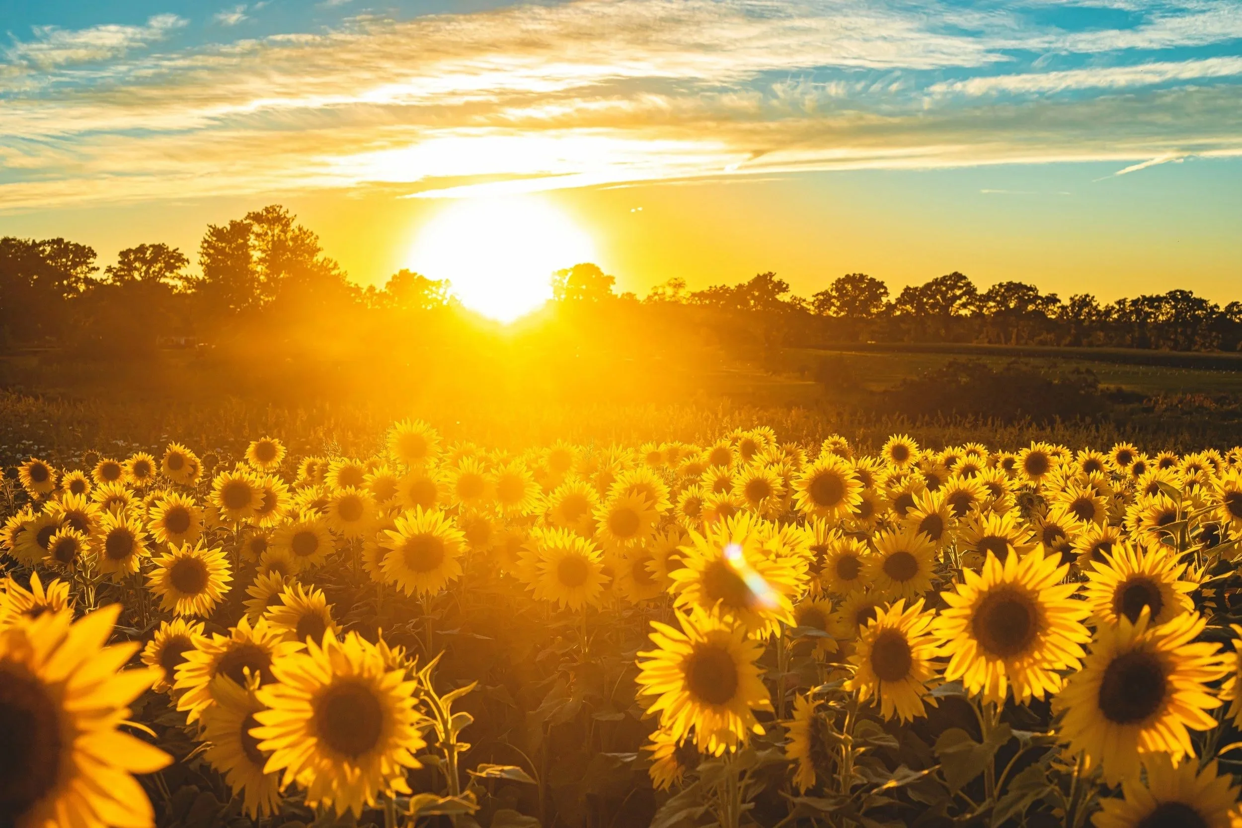 Here comes the sun