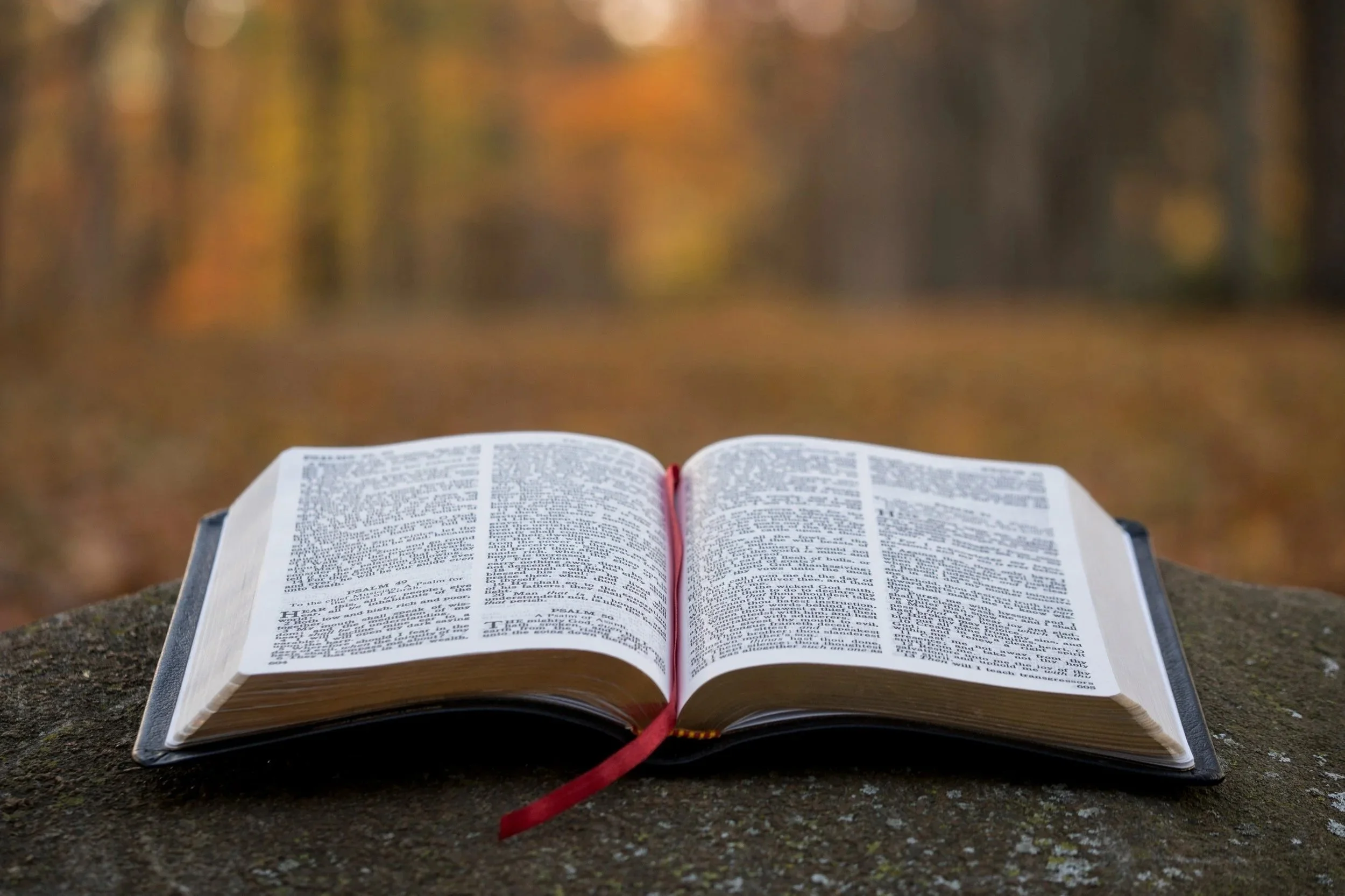 Christian Counselling (1) - Biblical Lament