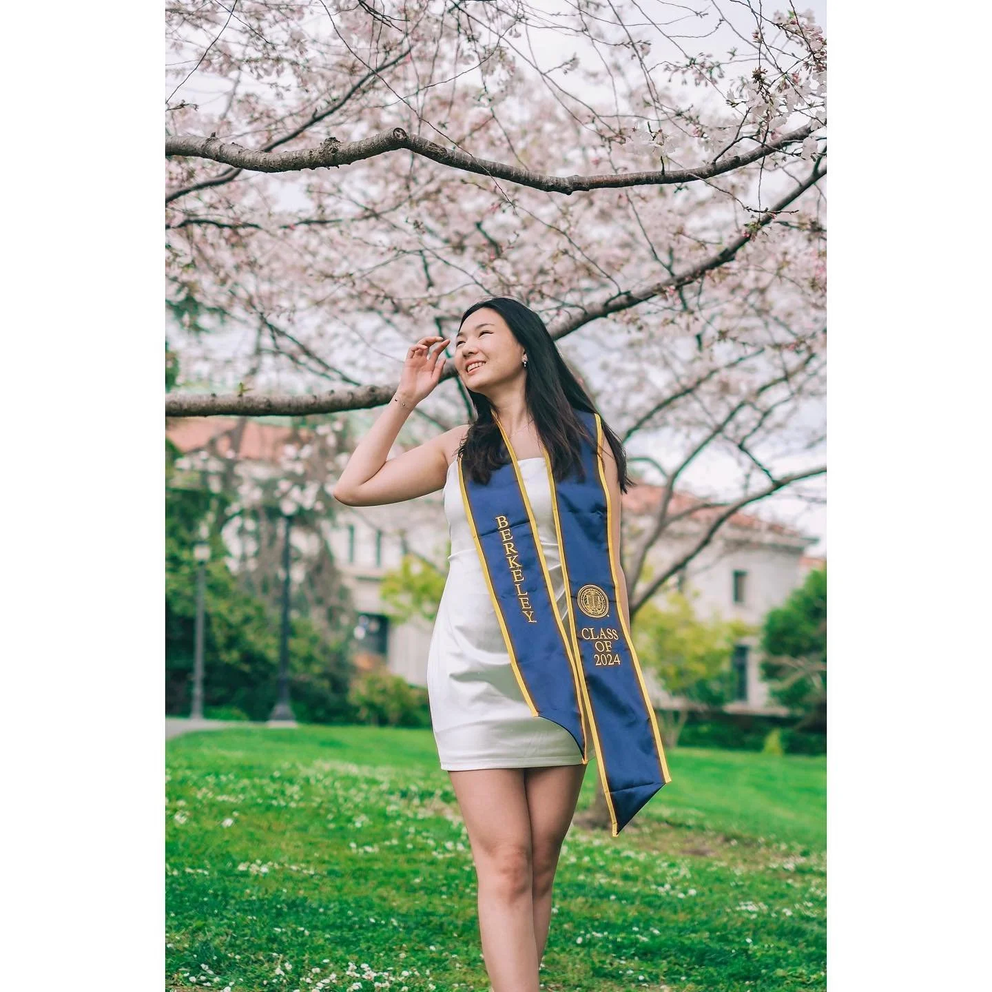 🌸 🎞️ beautiful cherry blossom portraits @ucberkeleyofficial &lt;33 

ft. @laurapeiii 🫶💗 congrats on graduating!!🥳

#graduation #graduationpictures #berkeley #ucberkeley #berkeleygraduationphotographer #graduationphotography #graduationphotoshoot