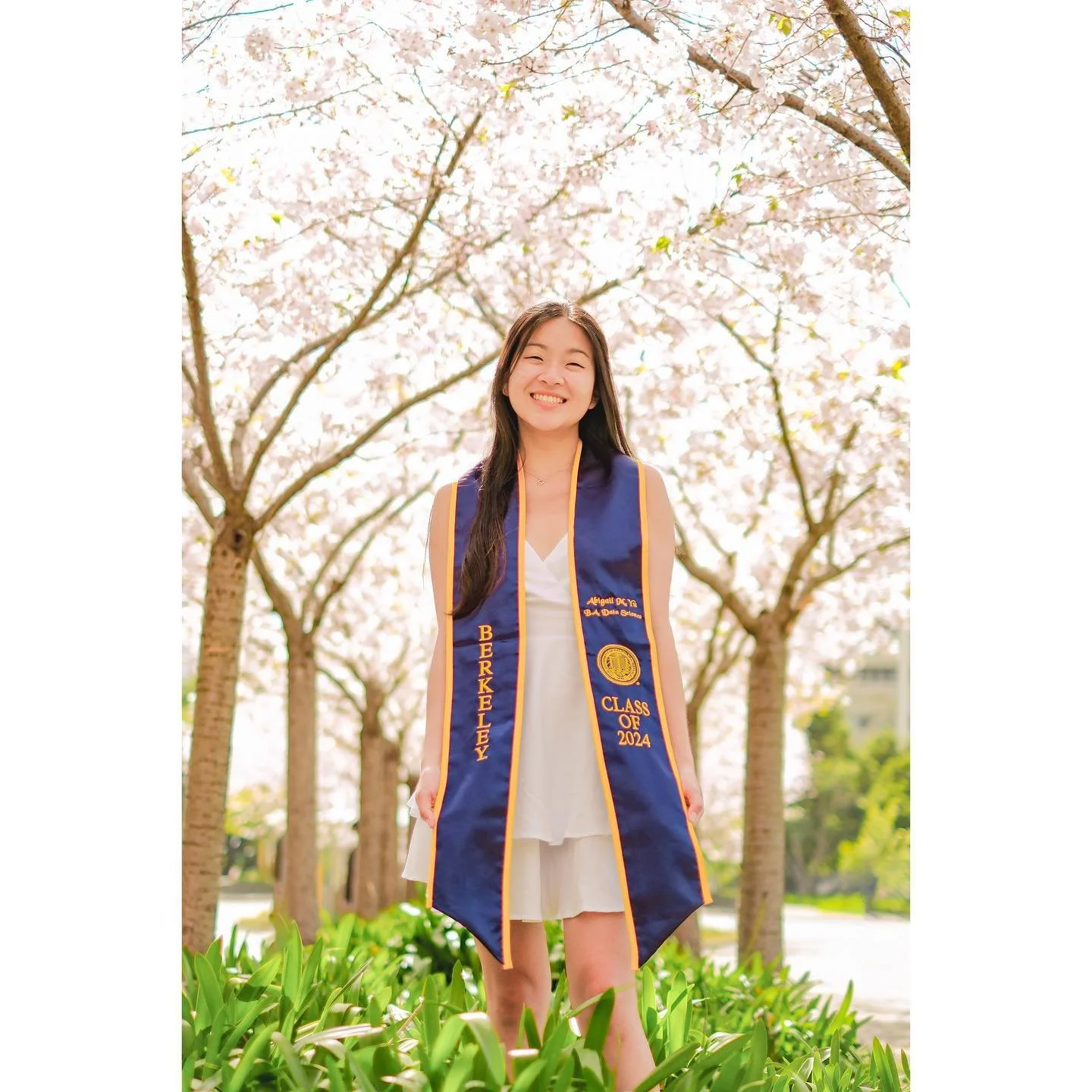 straight out from a movie ft. @abbyyuuuuuuu and cherry blossoms 🌸💗💗💞💕

#graduation #graduationpictures #berkeley #ucberkeley #berkeleygraduationphotographer #graduationphotography #graduationphotoshoot #myberkeleypov #berkeleypov #berkeleycalifo