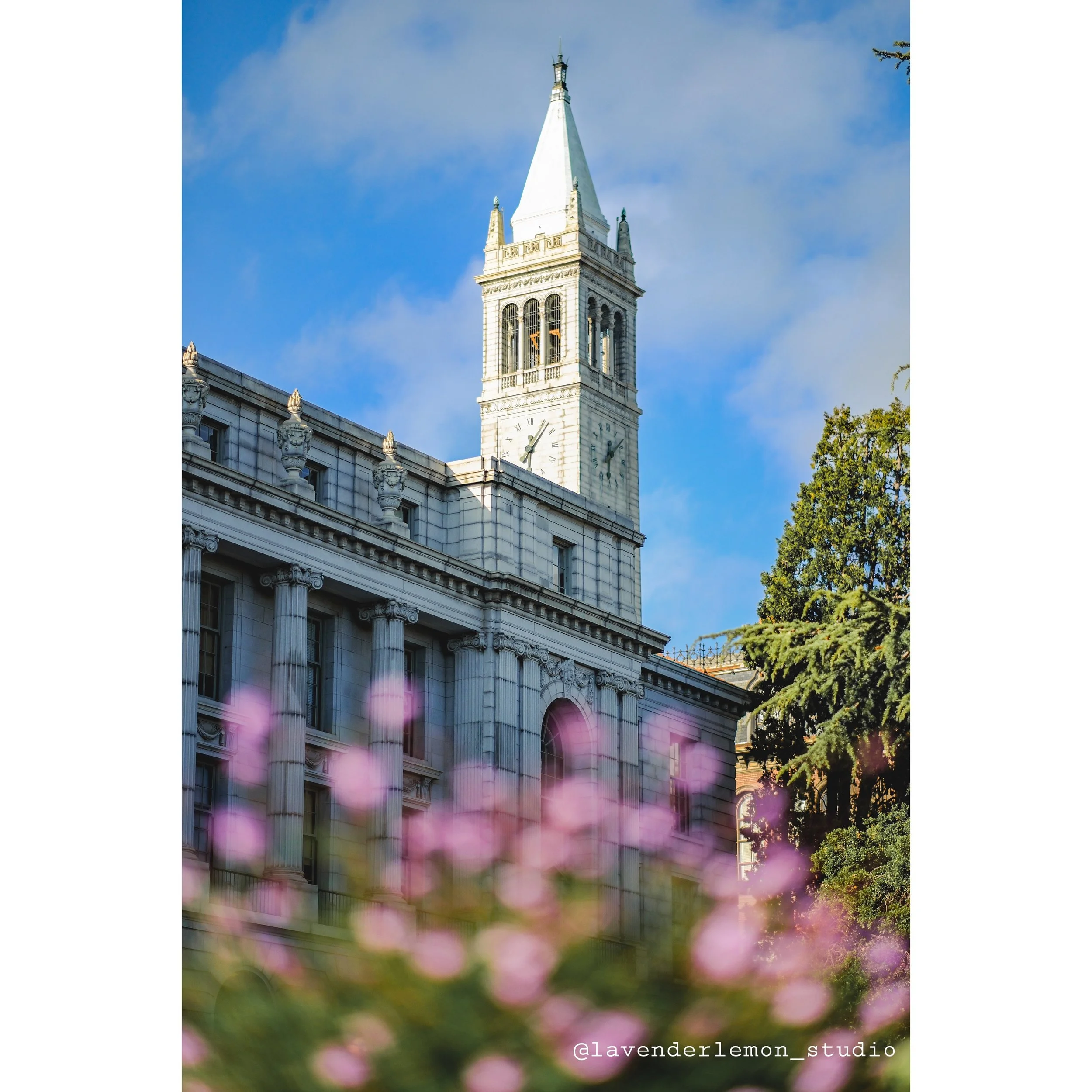 【1/25 - UC Berkeley POV】Wheeler Hall golden hour after spring showers 💜☁️🌅
#myberkeleypov #berkeley #berkeleypov #berkeleylife #ucberkeleyalumni #ucberkeley #berkeleybound #berkeleycalifornia