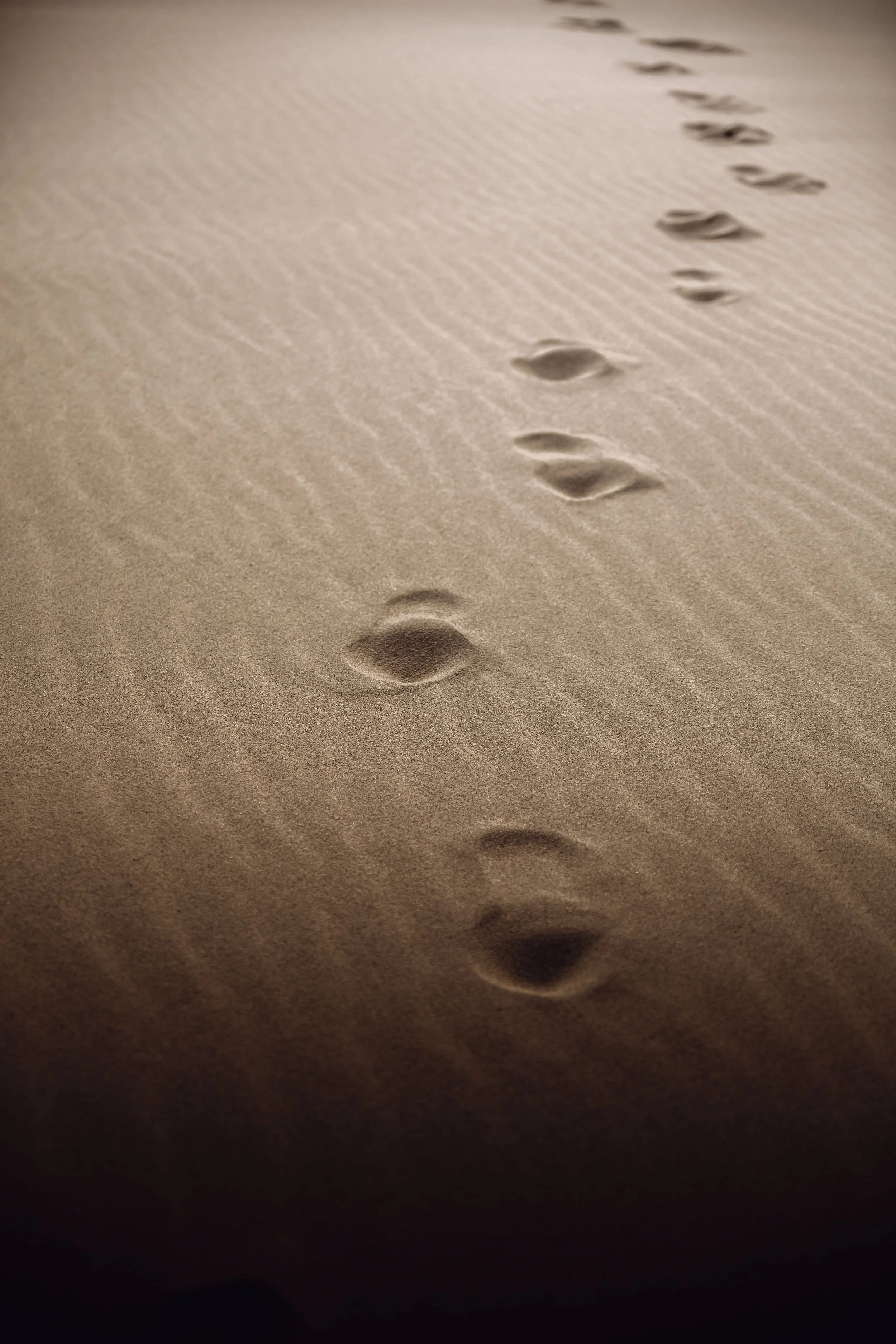Footprints in the sand leading into the distance, symbolizing a personal journey and the path of inner transformation. Photography by Alexey Chunihin on Pexels.