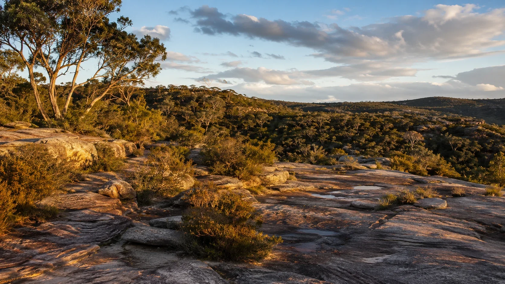 Sandstone Country and bushland in a Central Coast national park