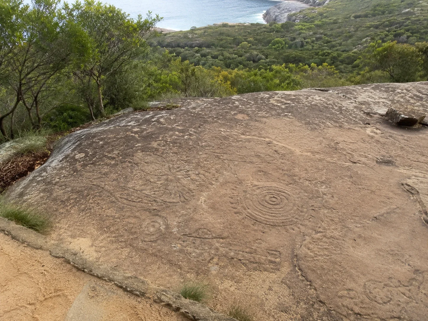 Aboriginal rock engravings on sandstone Country in NSW