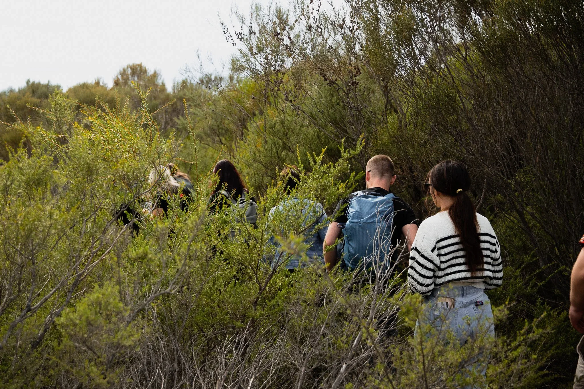 Indigenous Team Building Activities in Sydney: A Guide for Corporate Teams