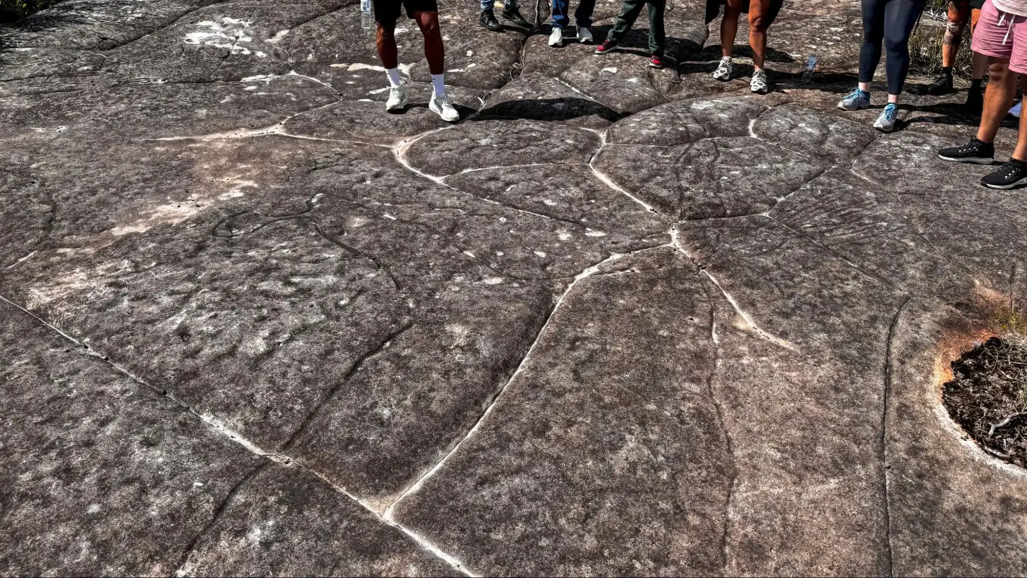 Aboriginal sandstone engravings on a headland in a Sydney national park