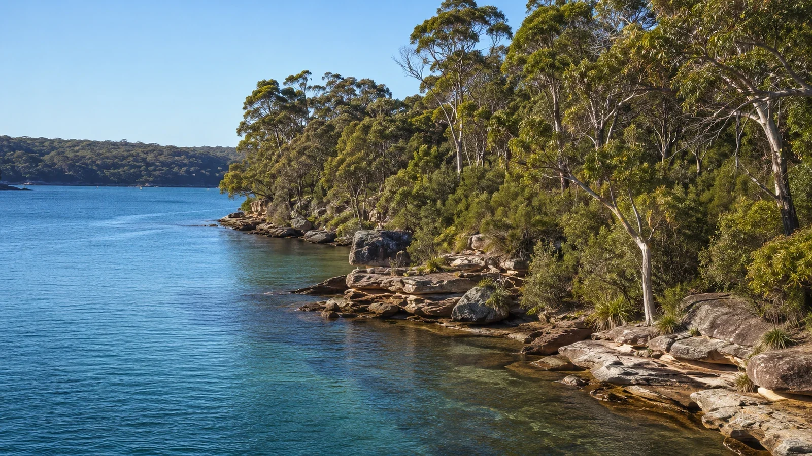 Sydney Harbour bushland and water on the Country