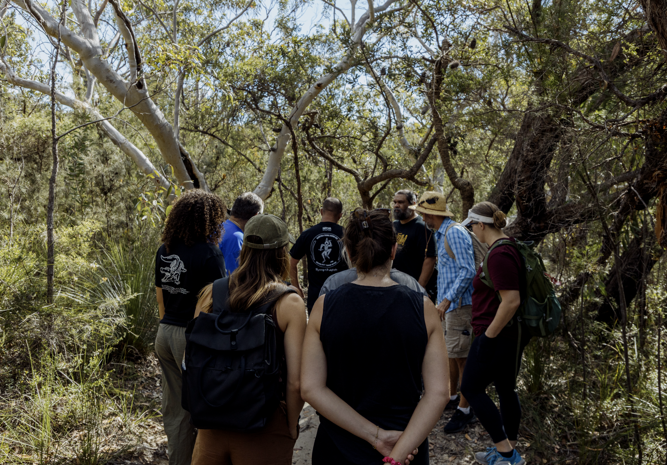 Natcha Cultural Tours leading a group through Ku-ring-gai National Park.
