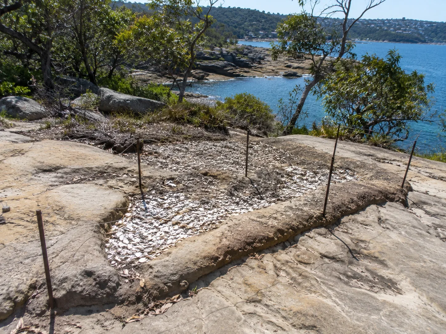 Shell midden on Sydney sandstone shoreline