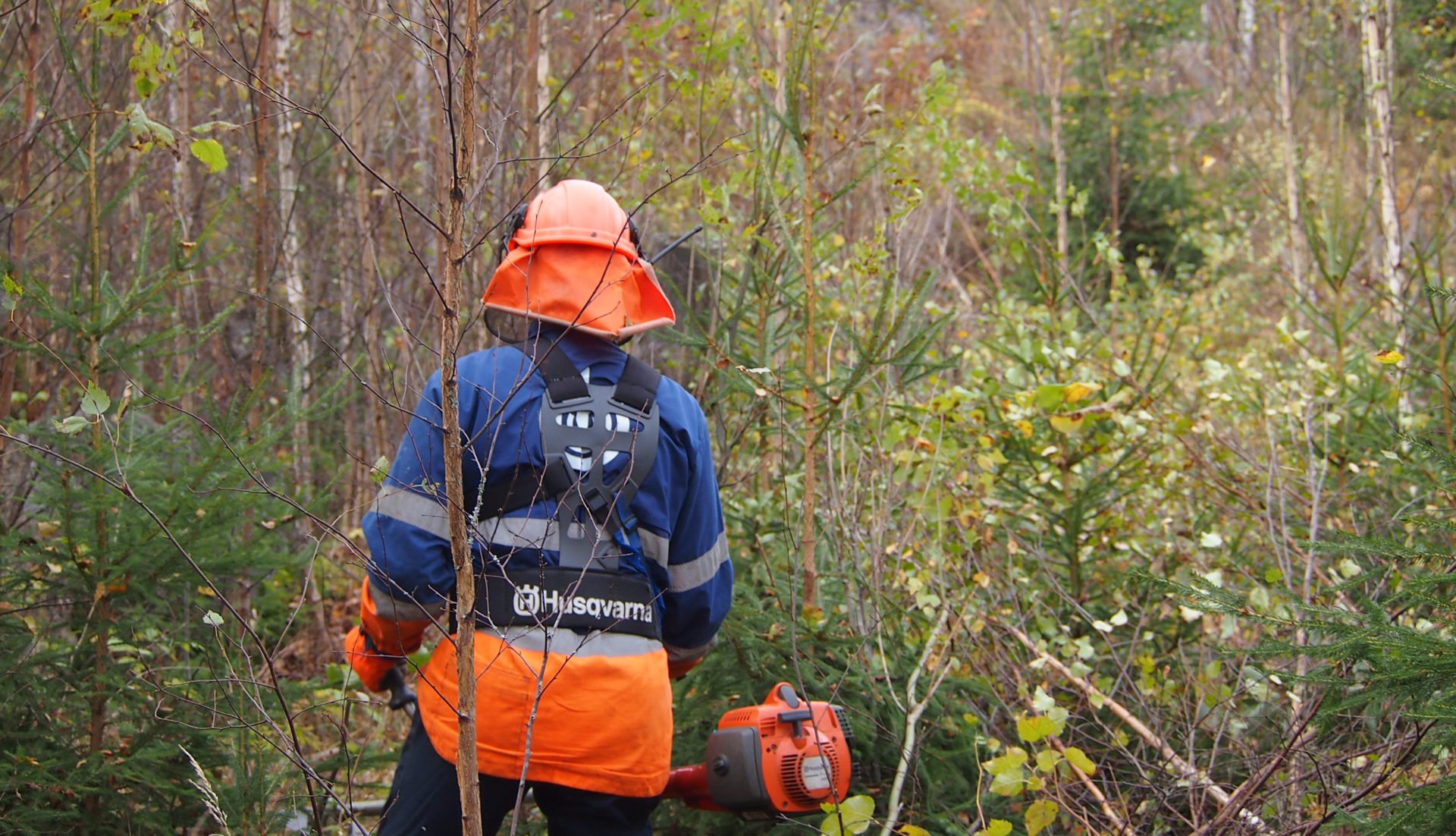 Metsänhoitoyhdistykset saavat reaaliaikaisen fiilismittauksen