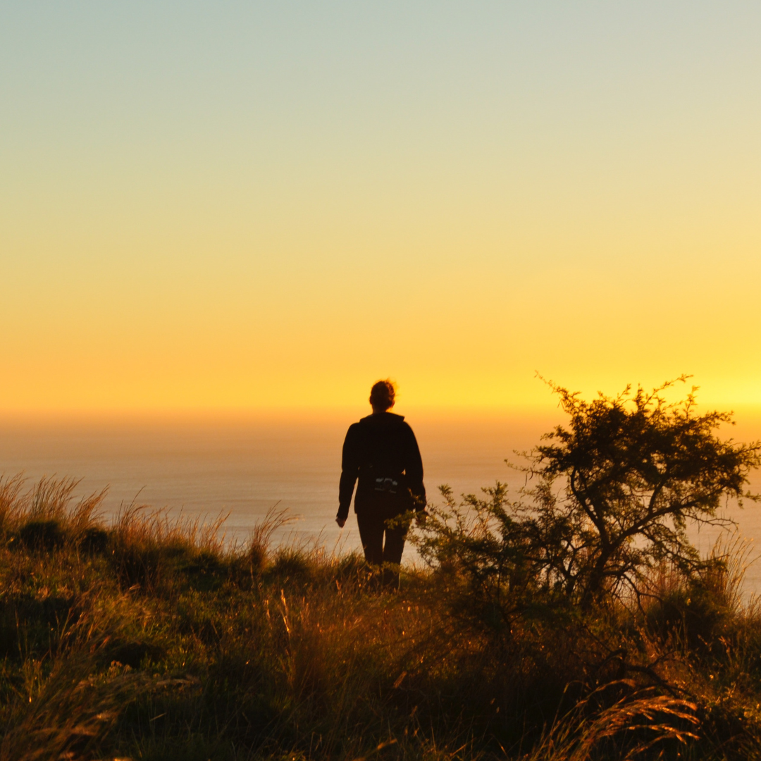 Depression Is Not a Chemical Imbalance. It Is an Energy Crisis.