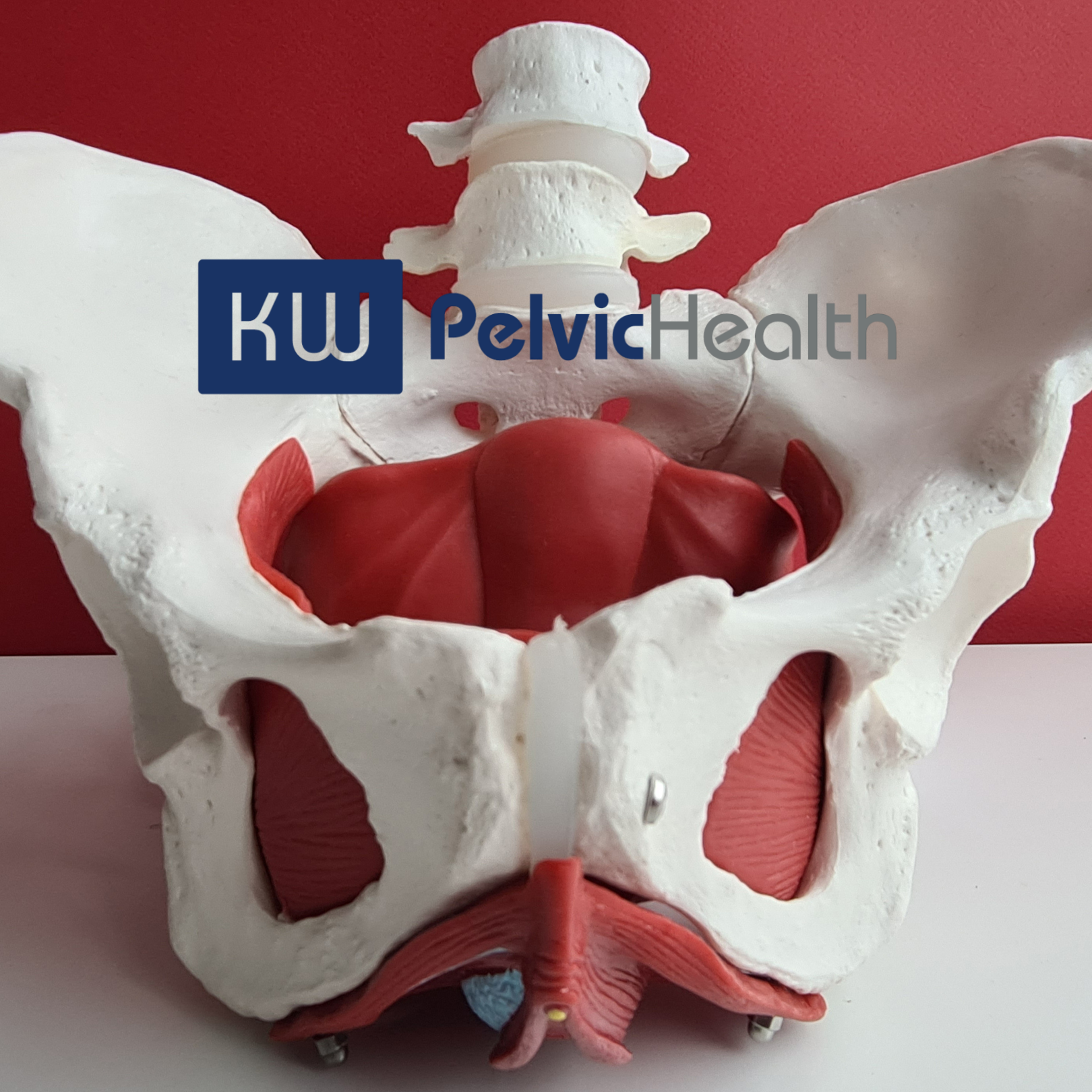 KW Pelvic Health