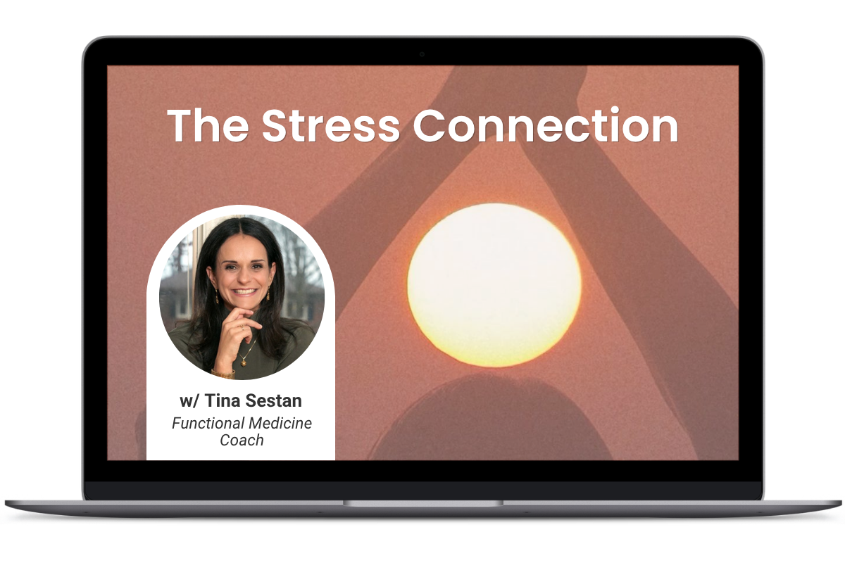 The Stress Connection: Your Nervous System, Mood &amp; Digestion [Webinar]