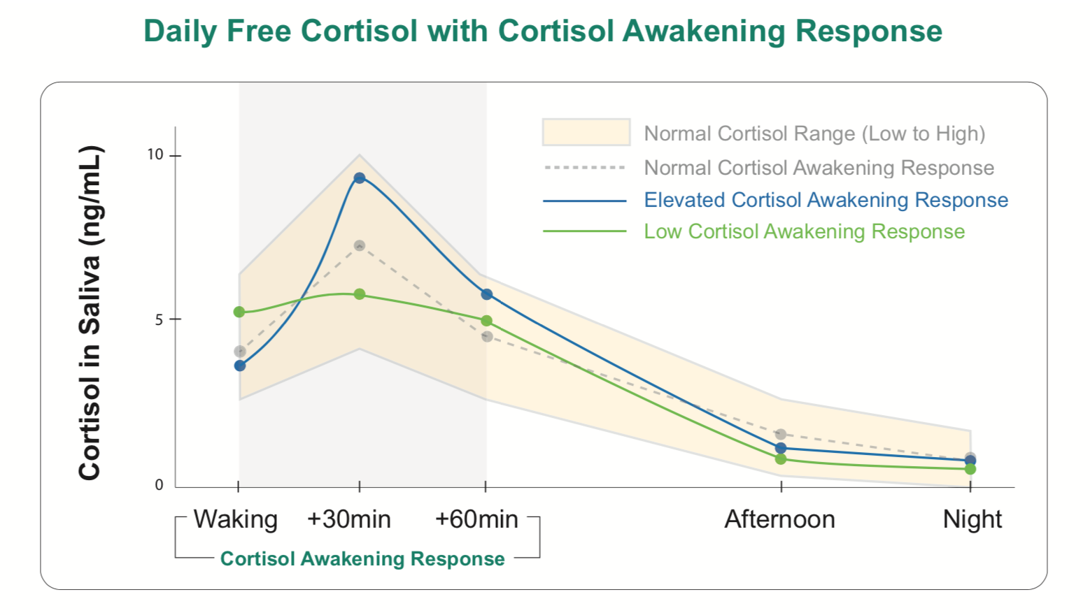 Healthy diurnal cortisol rhythm showing strong morning peak and gradual decline.