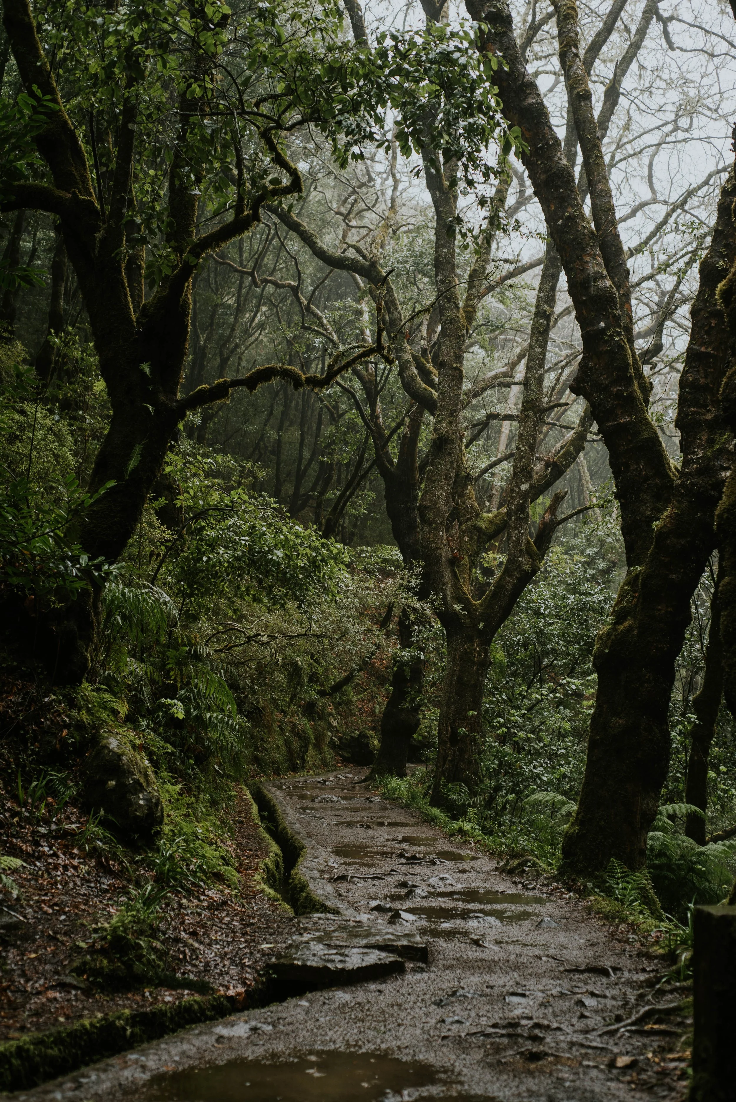 _DSC0010.jpg