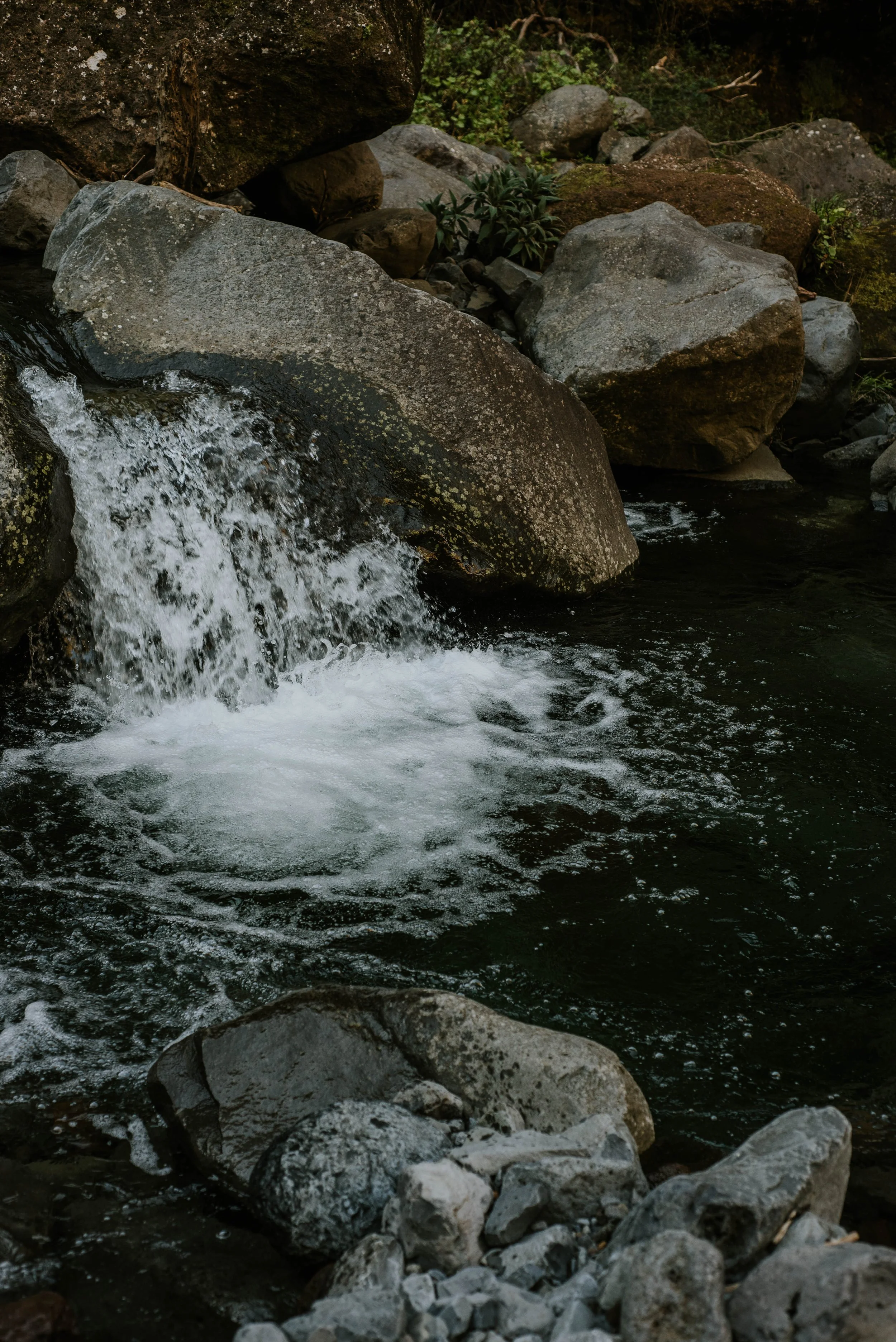 _DSC0327.jpg